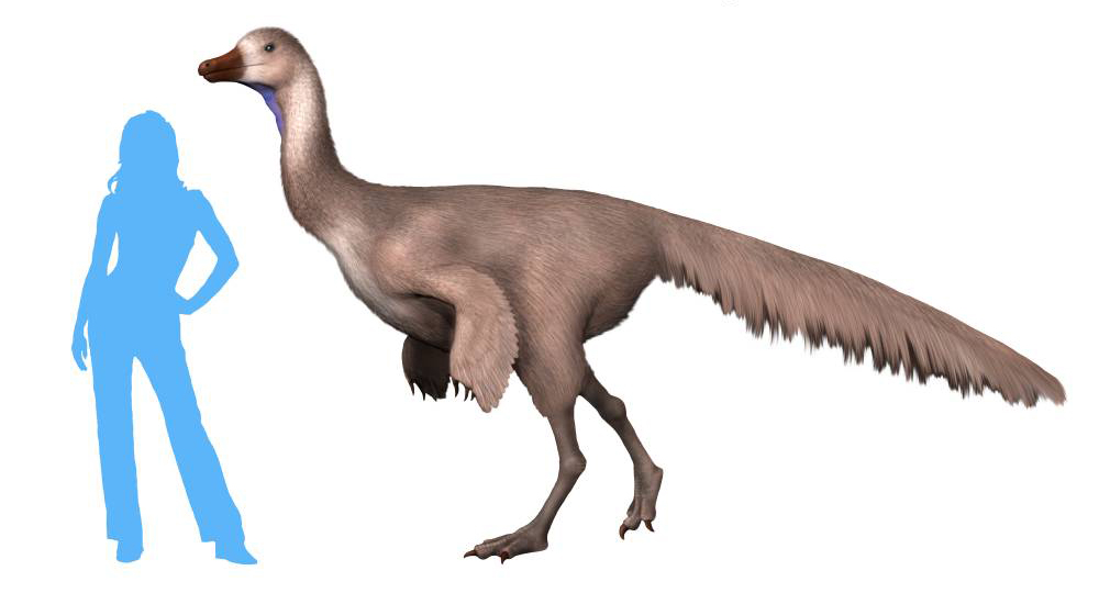 Image showing a reconstruction of the dinosaur Arkansaurus next to a silhouette of a person; the dinosaur is slightly taller than the human.