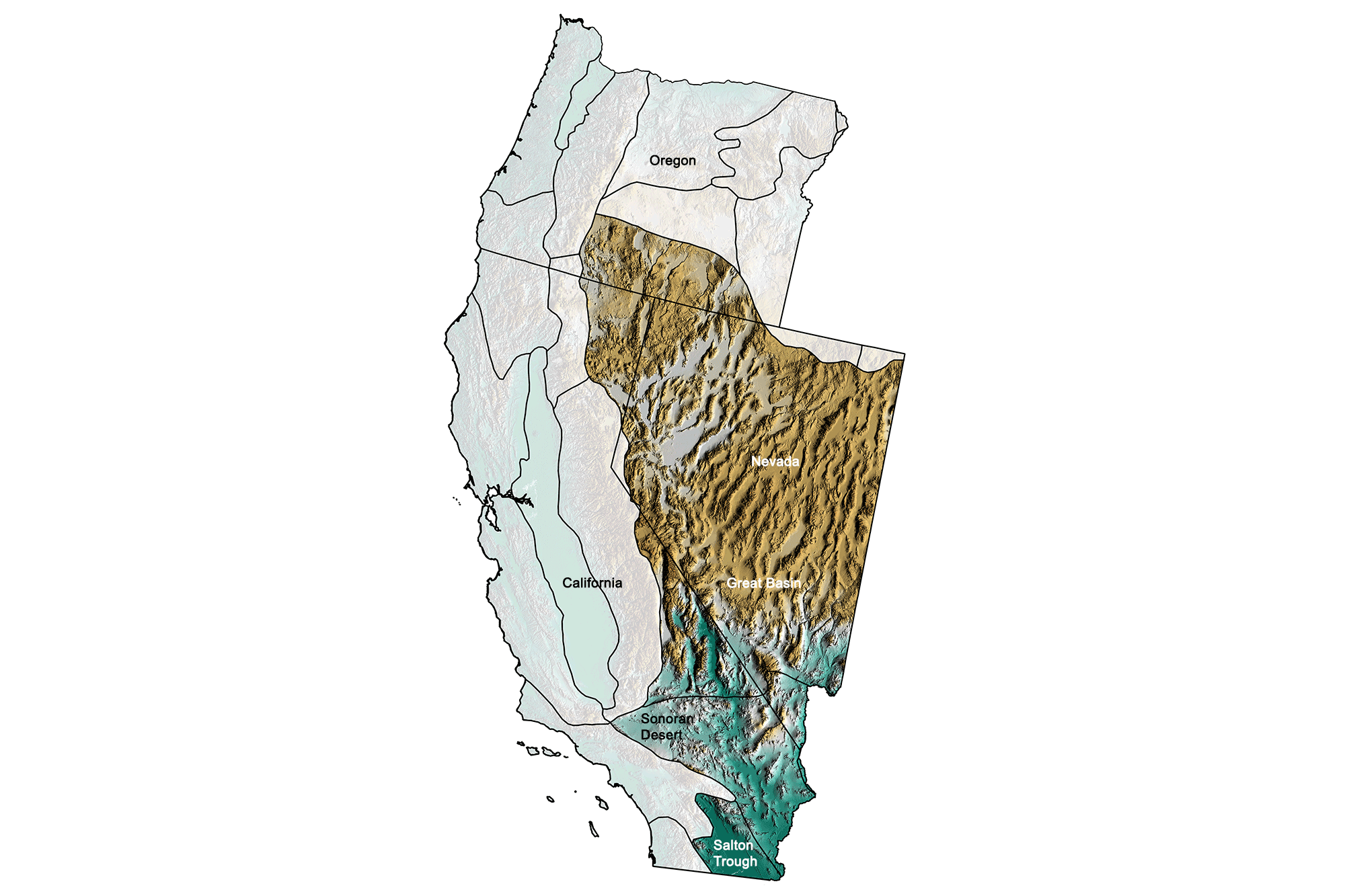 Topographic map of the Basin and Range region of the western United States.