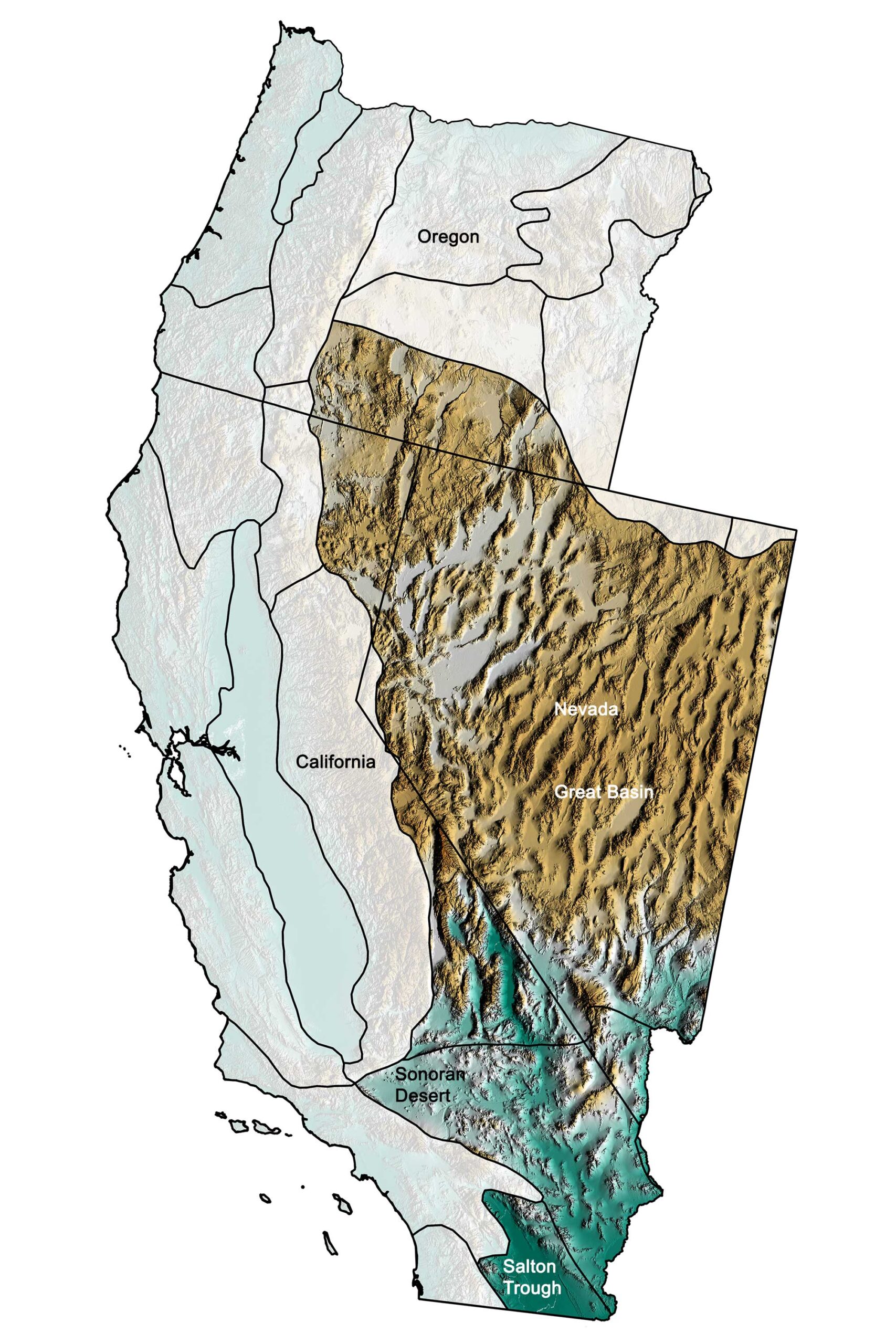 Topographic map of the Basin and Range region of the western United States.