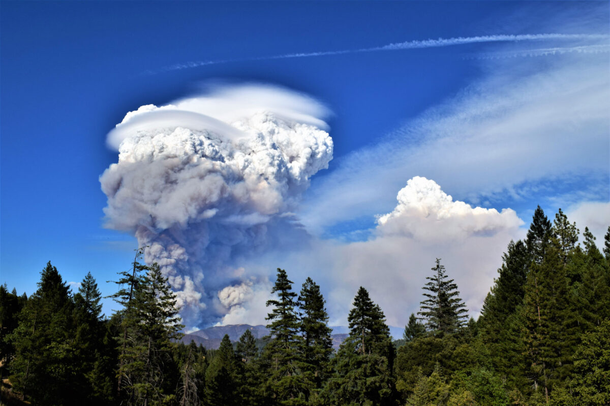 Photograph of smoke rising from the Carr Fire in California in 2018. A large cloud of smoke rises in the center of the image from hills in the background. In the foreground, a thick conifer forest is present. The sky around the smoke cloud is clear and blue with some thin clouds.