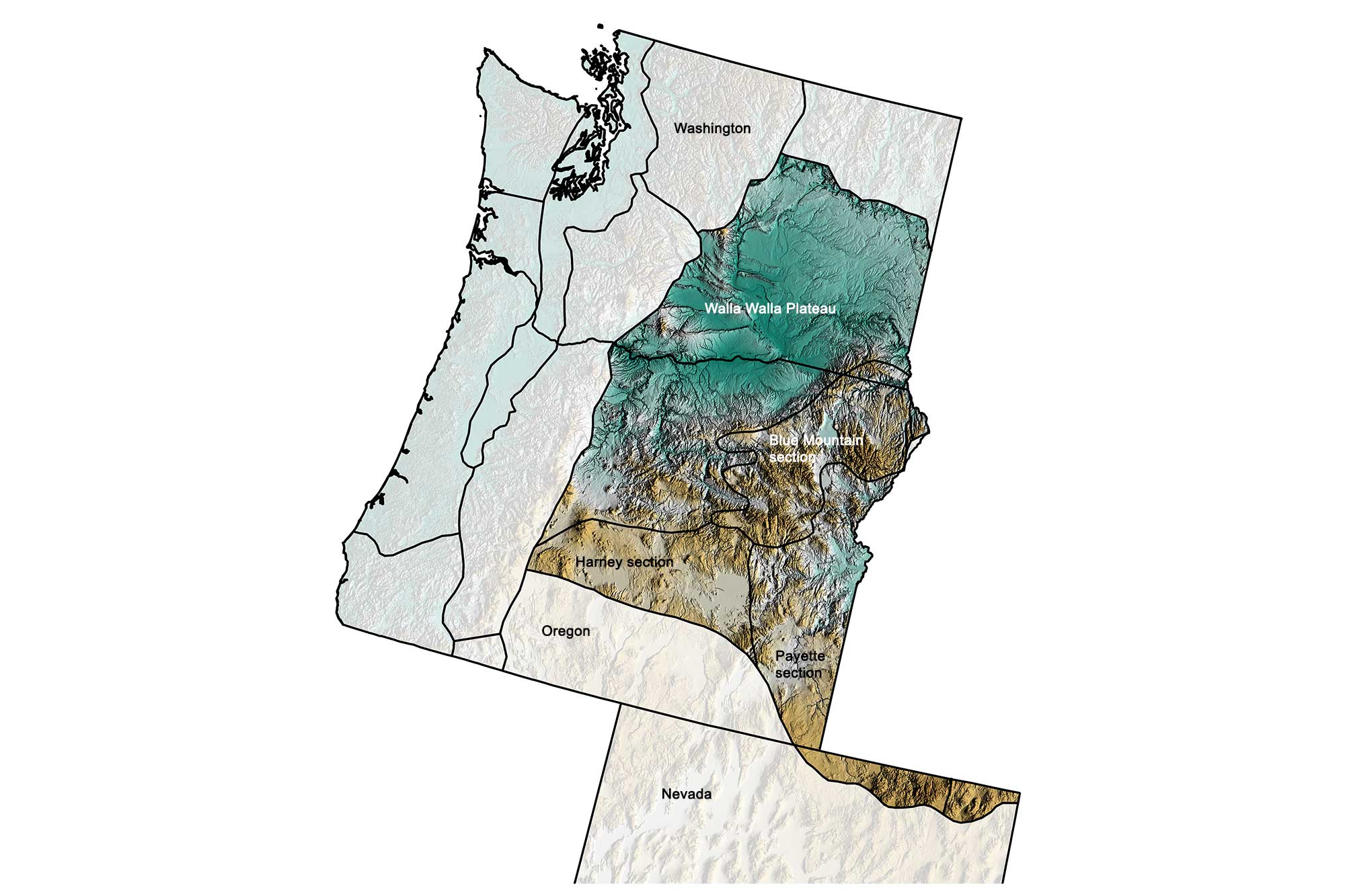Topographic map of the Columbia Plateau of the western United States.