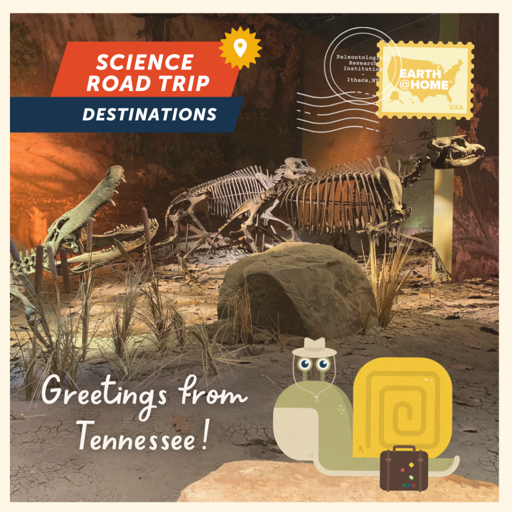Greetings from Tennessee Postcard, photo of exhibit at Gray Fossil Site with Gilbert D. Snail. Text: "Science Road Trip Destinations. Greetings from Tennessee!" With Earth@Home stamp.