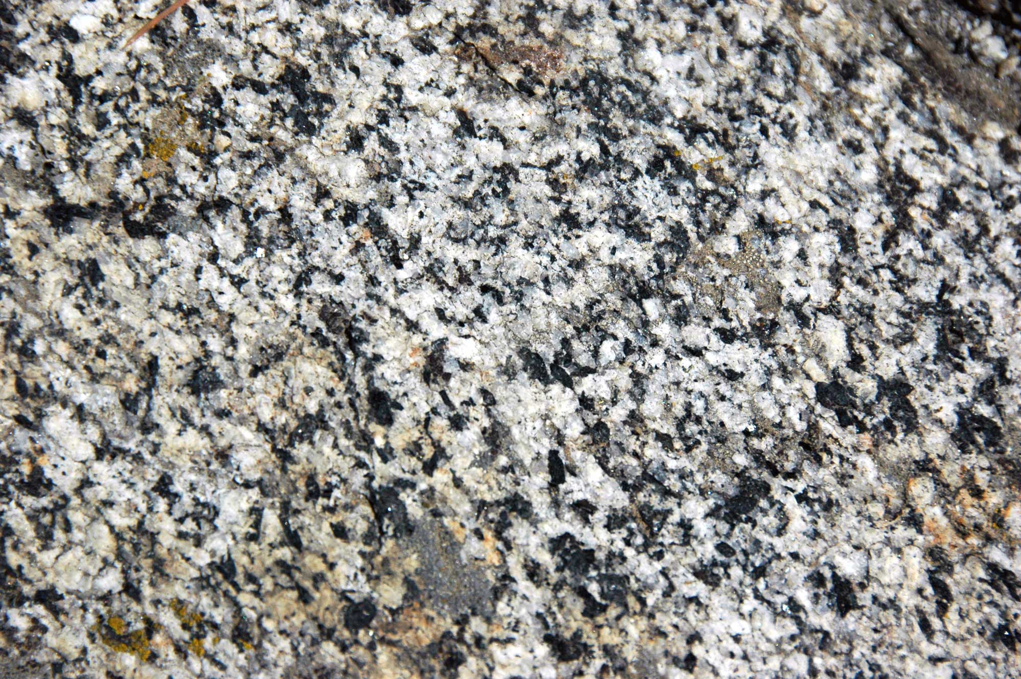 Close-up photograph of the surface of granodiorite at Sequoia National Park, California. The rock is white with large place flecks.