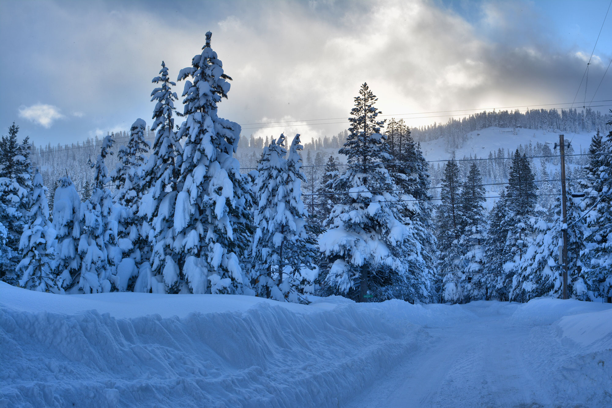 Photograph of snow near Lake Tahoe in the Sierra Nevada near the border of California and Nevada. The photo shows a plowed road covered with packed snow with short walls of snow on either side. A conifer forest is in the background, the branches of the trees covered in snow.