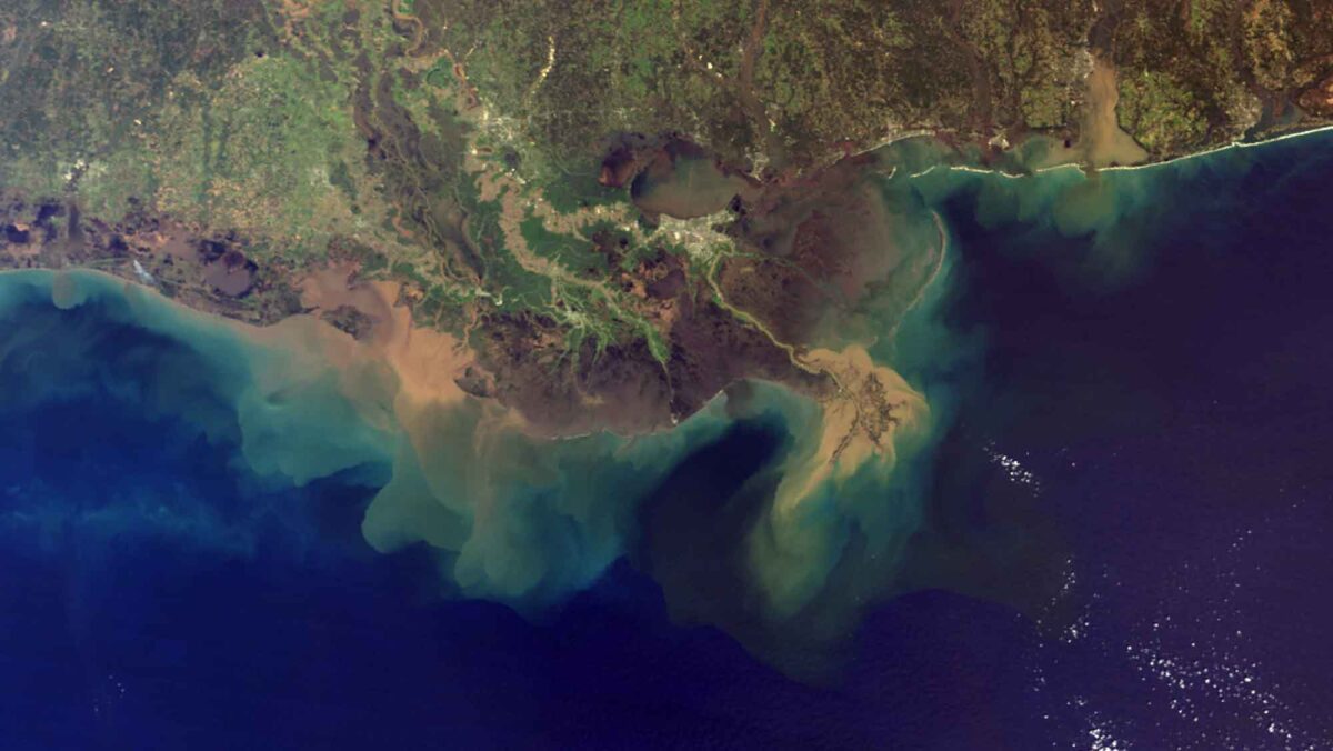 Satellite image of the Mississippi River Delta, Louisiana.