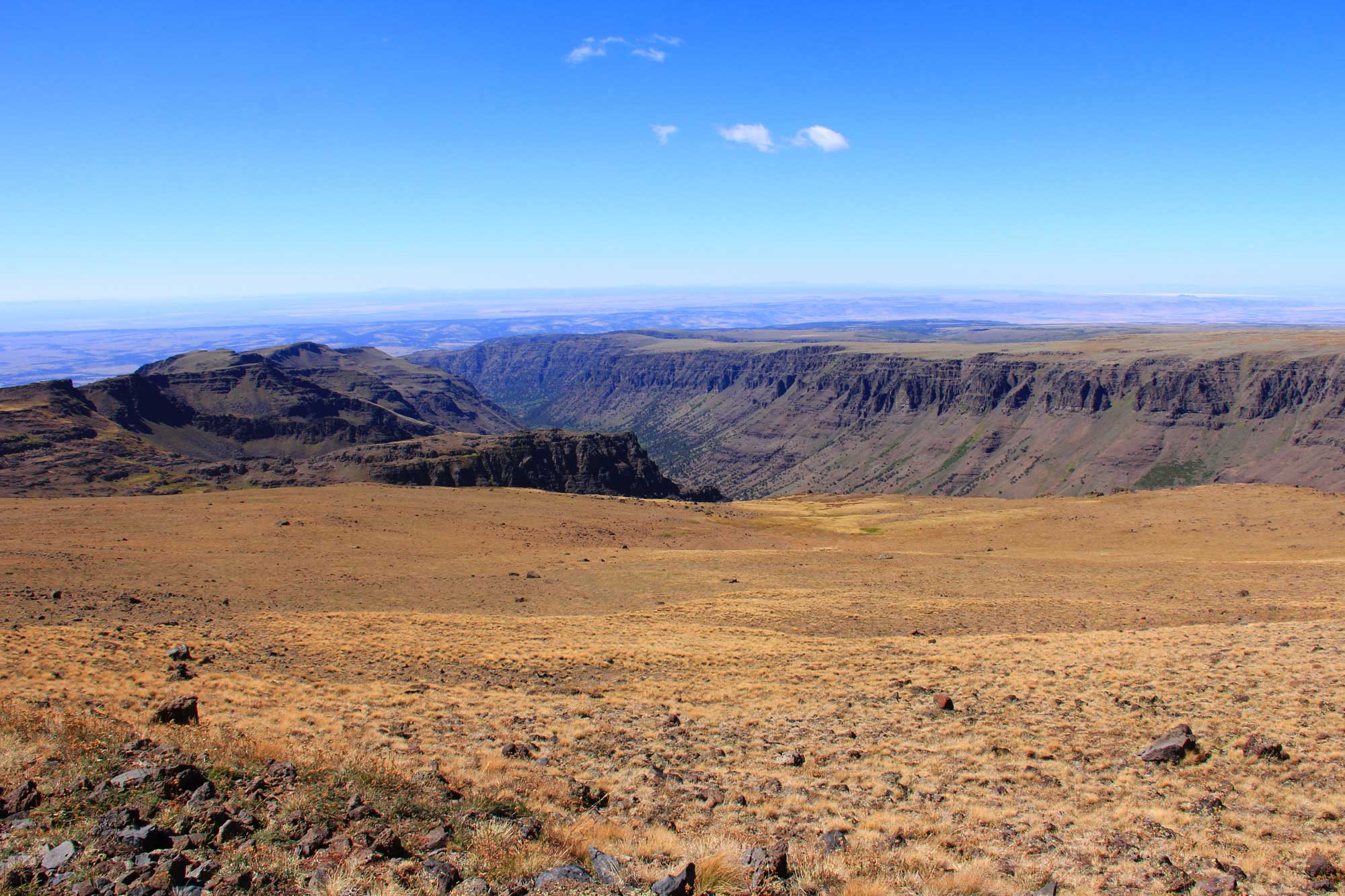 Photograph of Steens Wilderness in Oregon. The photo shows a dry landscape covered with short, yellow grasses. In the distance, a canyon with sloping walls and a steep caprock cuts through the landscape.