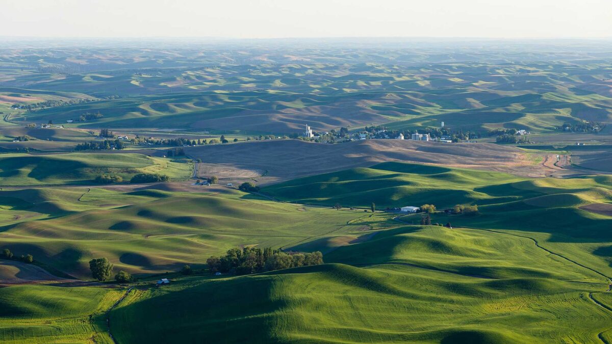Photograph of the Palouse Hills in Washington.