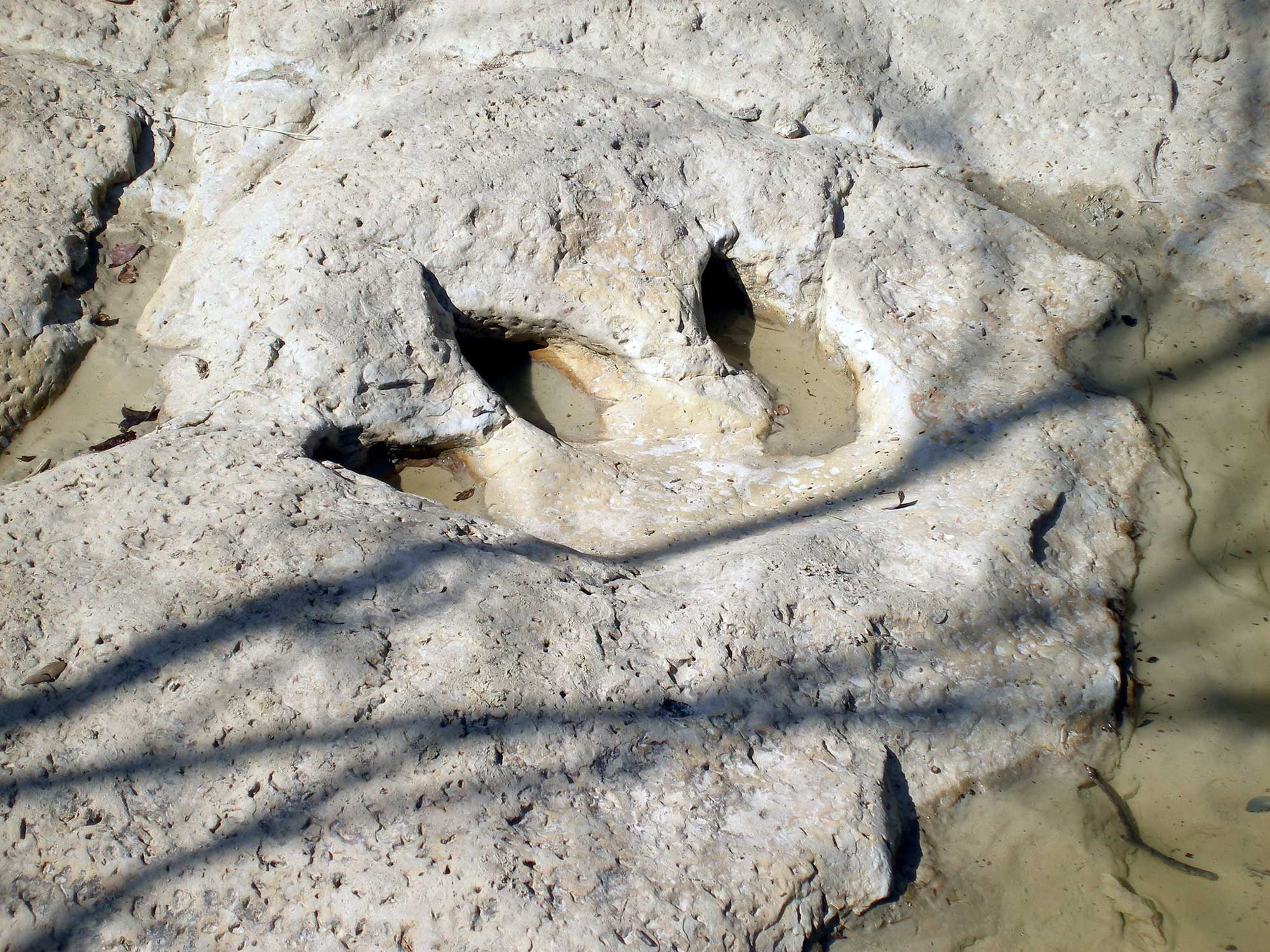 Photograph of a dinosaur footprint at Dinosaur Valley State Park, Texas.