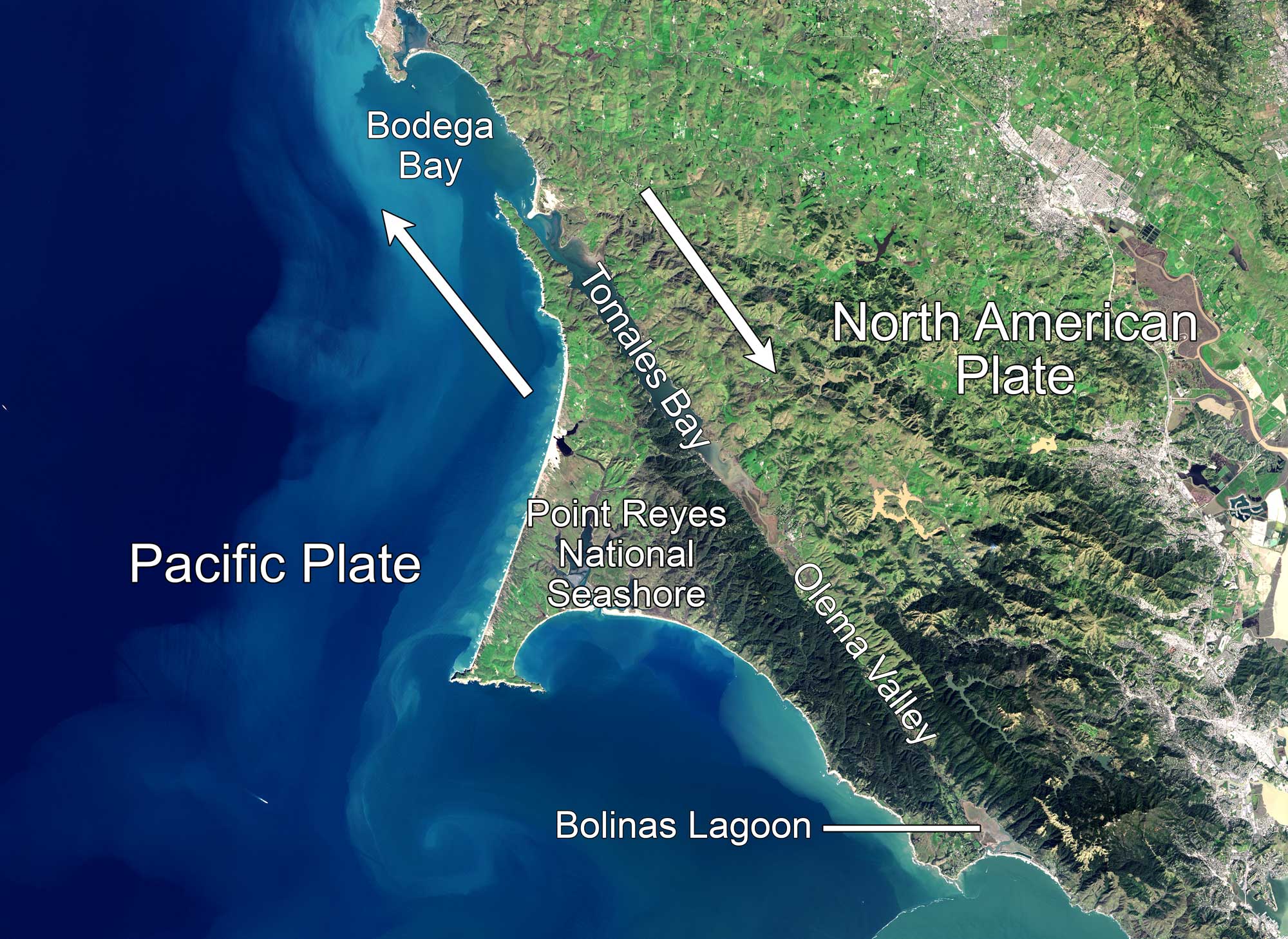 Satellite image of the Central California coast showing Bodega Bay and Point Reyes. In the photo, the San Andreas Fault can clearly be seen as a northeast-southwest trending valley cutting across the land. To the left is the Pacific Plate, which is moving northwest. To the right is the North American Plate.