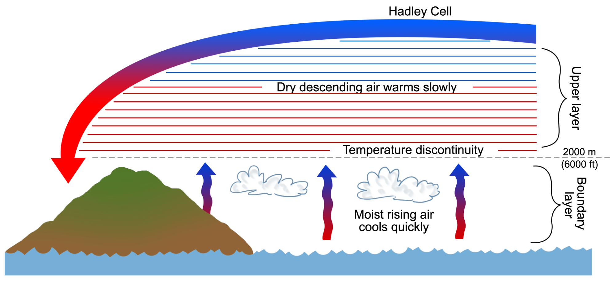 Diagram illustrating the trade wind inversion. An upper layer of air occurs at a higher altitudes than a boundary layer that sits at the surface. Between the upper layer and the boundary layer is a temperature discontinuity at about 2000 meters or 6000 feet. The discontinuity occurs between the boundary layer (surface) air, which cools rapidly at higher altitudes, and the upper layer (Hadley cell) air, which warms as in sinks.
