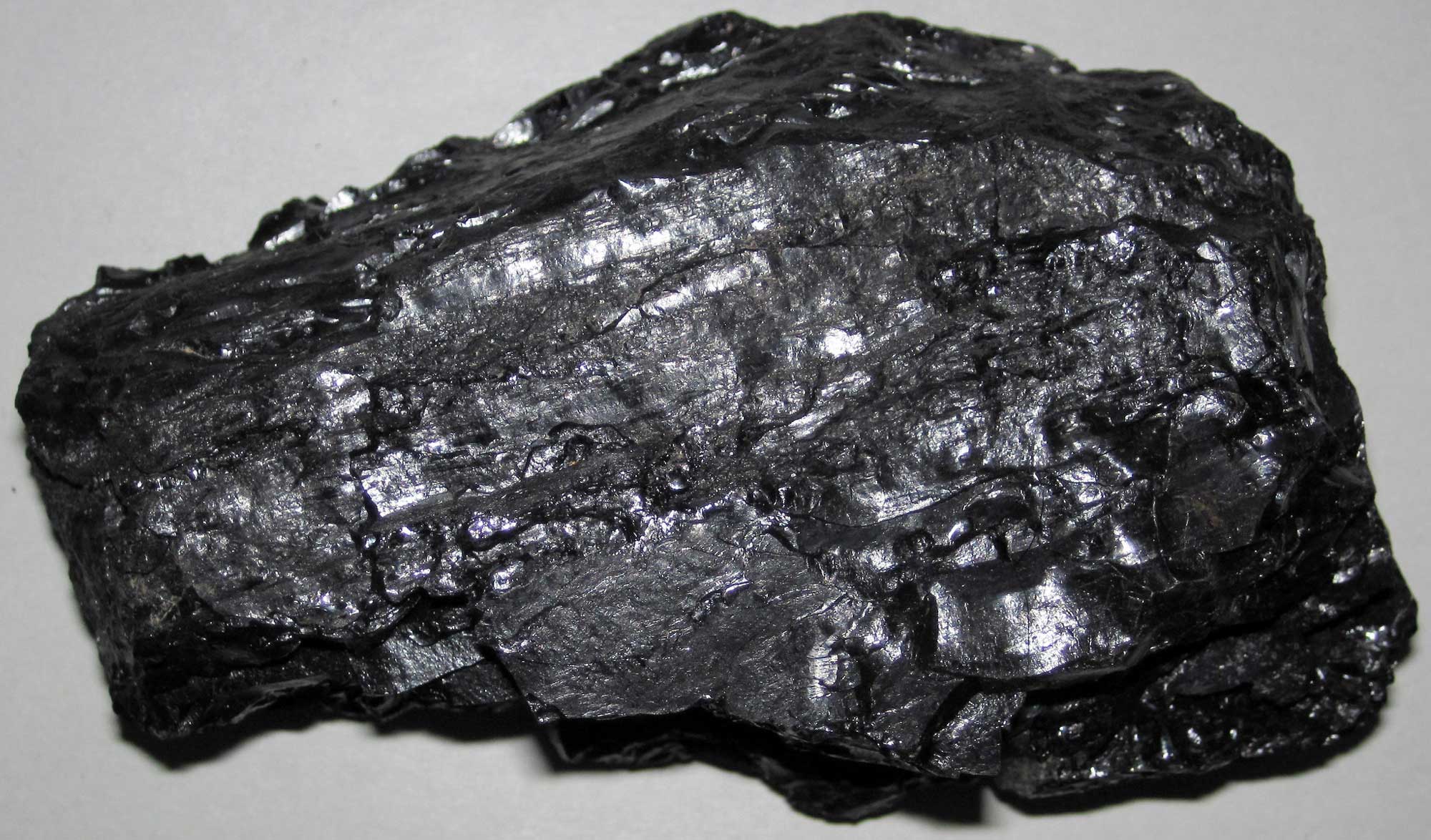 Photograph of a sample of bituminous coal from Utah.
