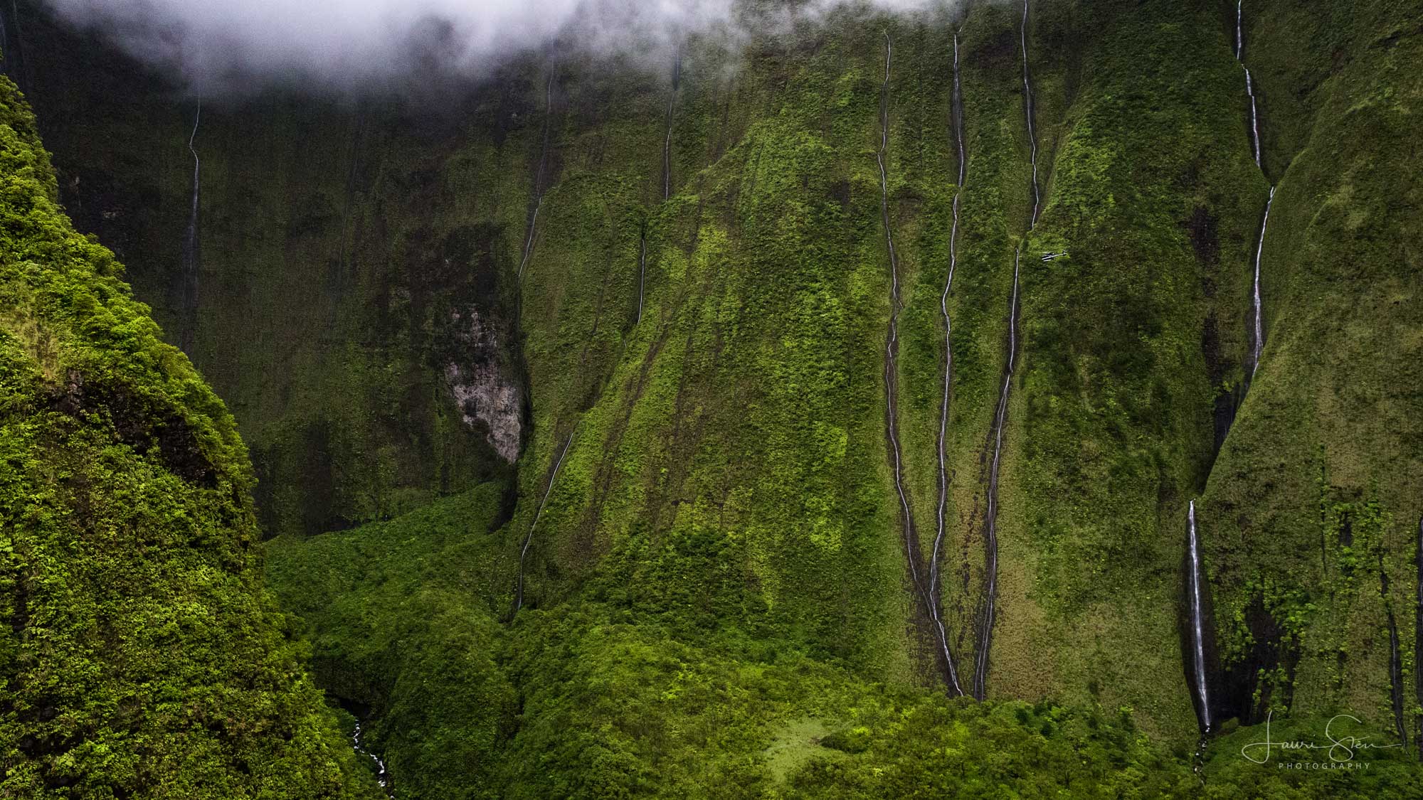 Photograph of cliffs on Mount Wai'ale'ale, Kaua'i. The photo shows sheer green walls covered with green vegetation. Thin waterfalls can be seen cutting through the vegetation on the slopes.