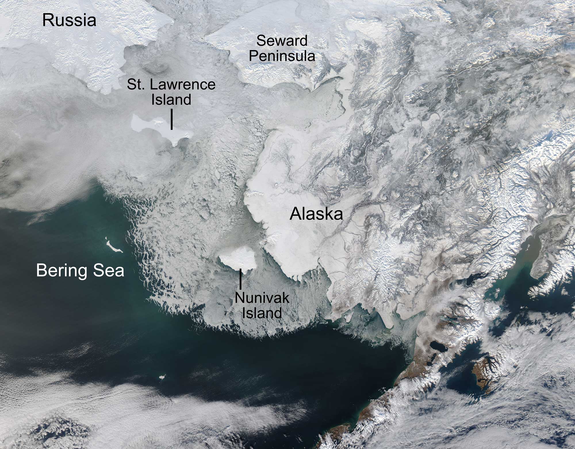Satellite photo of the Bering Sea in February 2014. The photo shows the western part of Alaska and the eastern tip of Russia, both covered in snow. The sea between the landmasses is covered in ice to the north, with open water to the south.