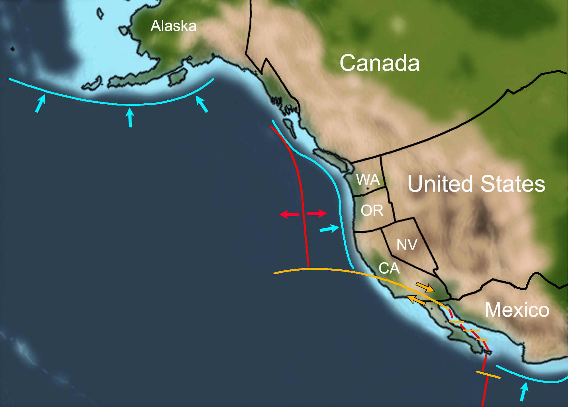 Map of the West Coast of North America about 5 million years ago. The map shows subduction zones paralleling the southern coast of Alaska, off the coast of western Canada, Washington, Oregon, and northern California, and off the central coast of Mexico. A transform boundary occurs in southern California to northern Mexico.