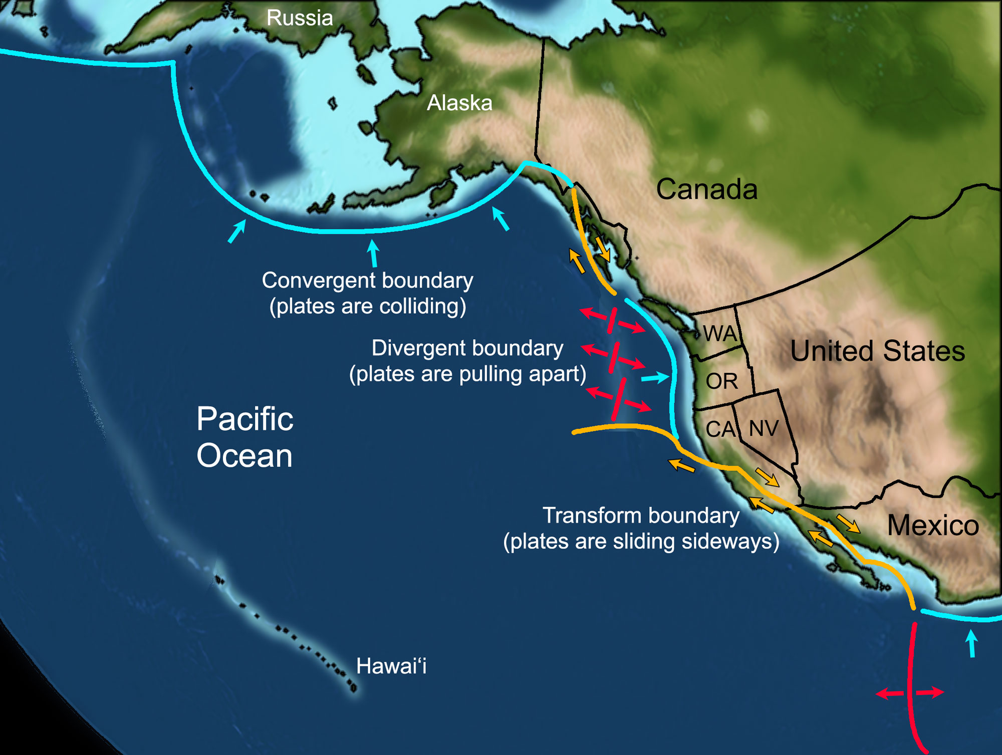 Map of the West Coast of North America today. The map shows subduction zones paralleling the southern coast of Alaska, off the coast of Washington, Oregon, and northern California, and off the central coast of Mexico. Transform boundaries occur in western Canada and southern California to northern Mexico.