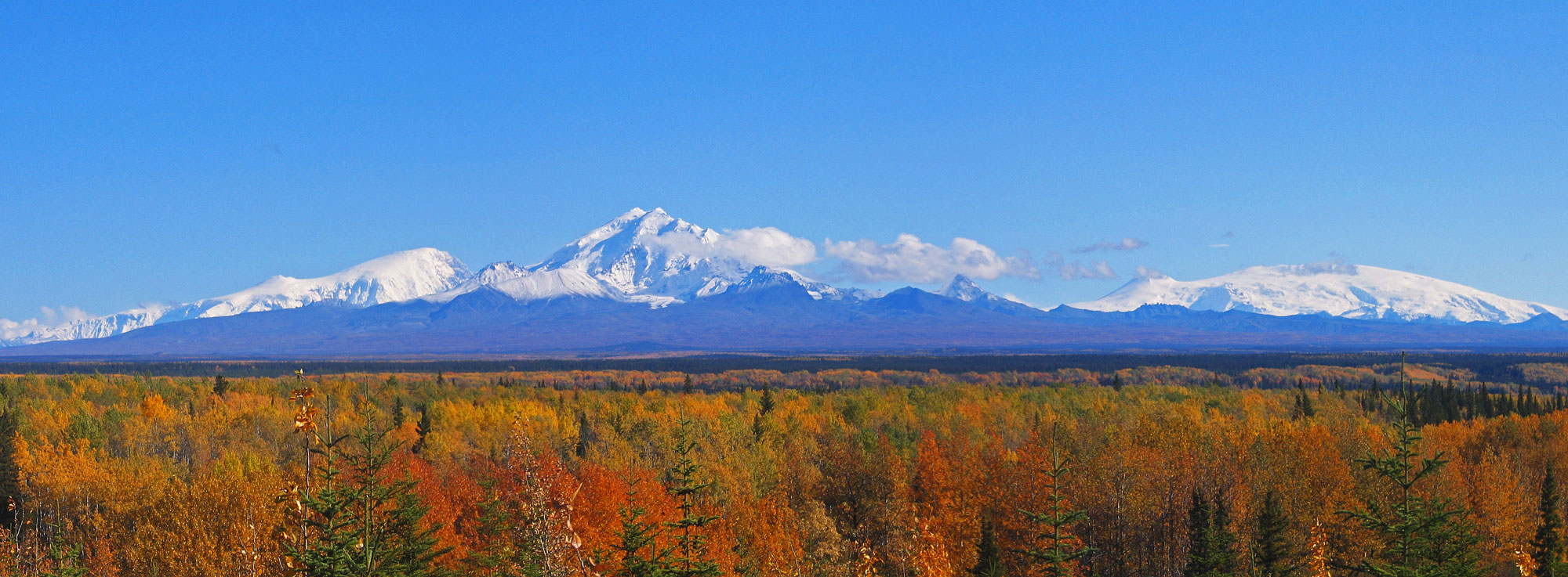 Photograph of the Wragell Mountains, Alaska. The photo shows a landscape with a snow-capped mountain range rising against a blue sky in the background. In the foreground, trees in fall colors blanket a flat landscape.