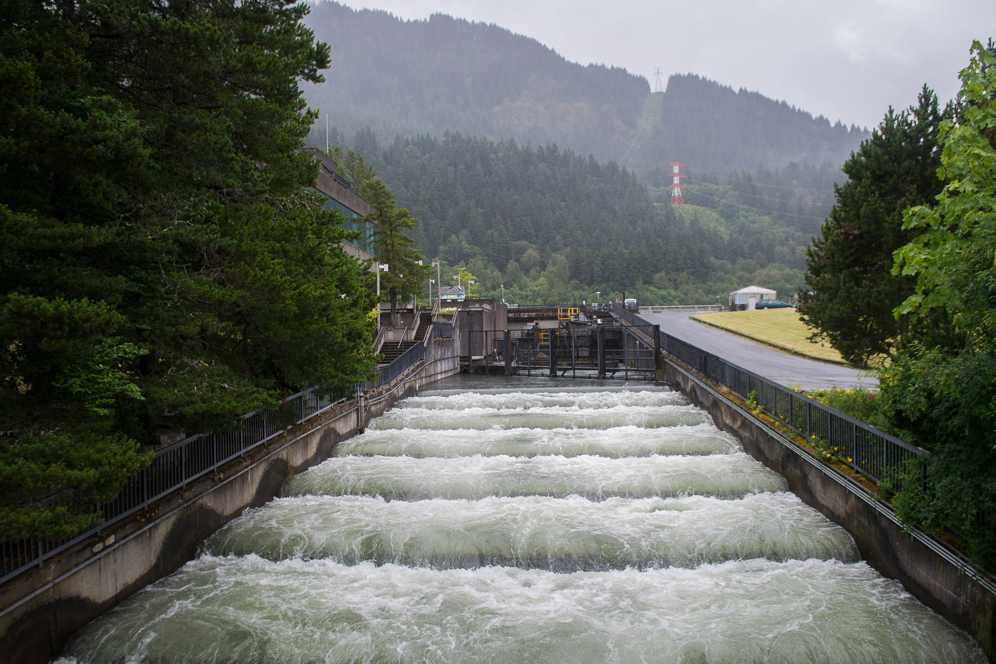 Photograph of a fish ladder on the Bonneville Dam, Columbia River, Oregon. The photo shows a water-filled channel with concrete sides. Steps covered by water allow fish to navigate over the dam.