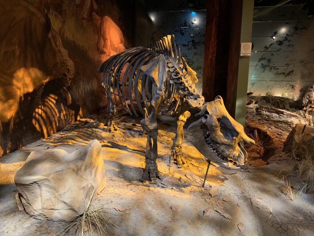 Gray Fossil Site, photo by Liz Hermsen