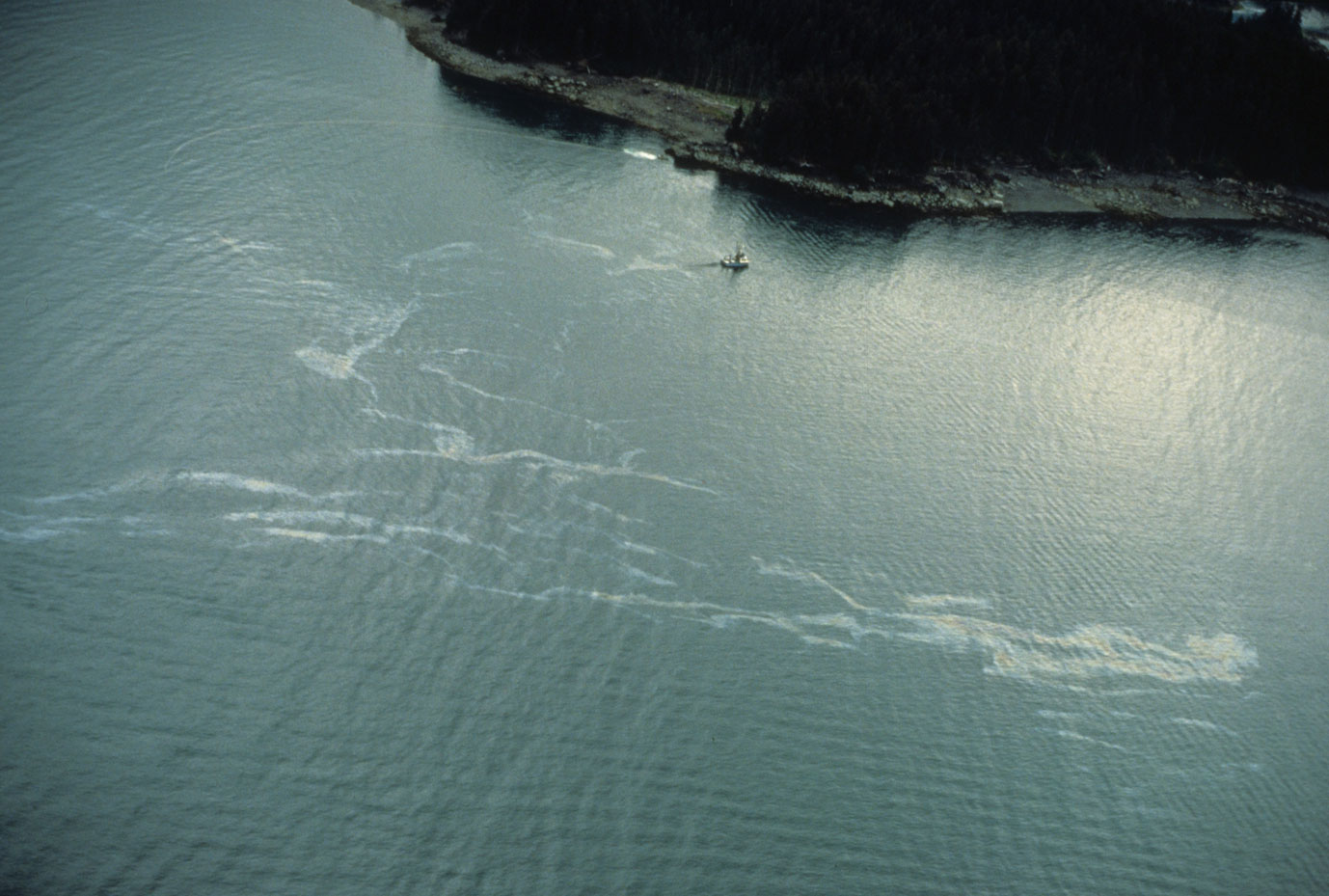 Aerial photograph of Kachemak Bay on the Gulf of Alaska showing an oil slick (shiny streaks) on the water as a result of the Exxon Valdez oil spill.