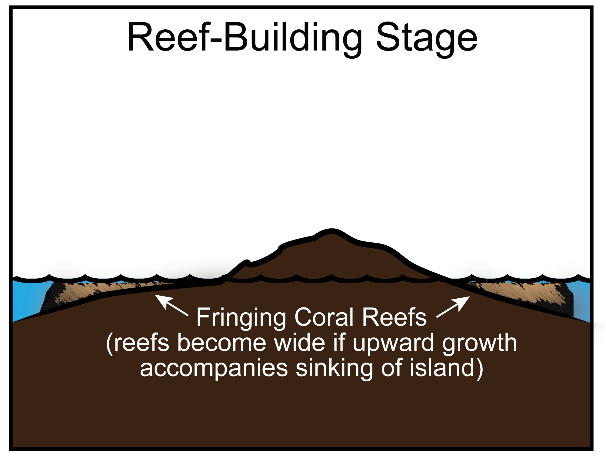 Diagram of the reef-building stage of the volcanic island life cycle. In this image, the volcano is even more heavily eroded with shallow underwater slopes flanking the part of the island that is still above water. Wide coral now occur on its submerged slopes.