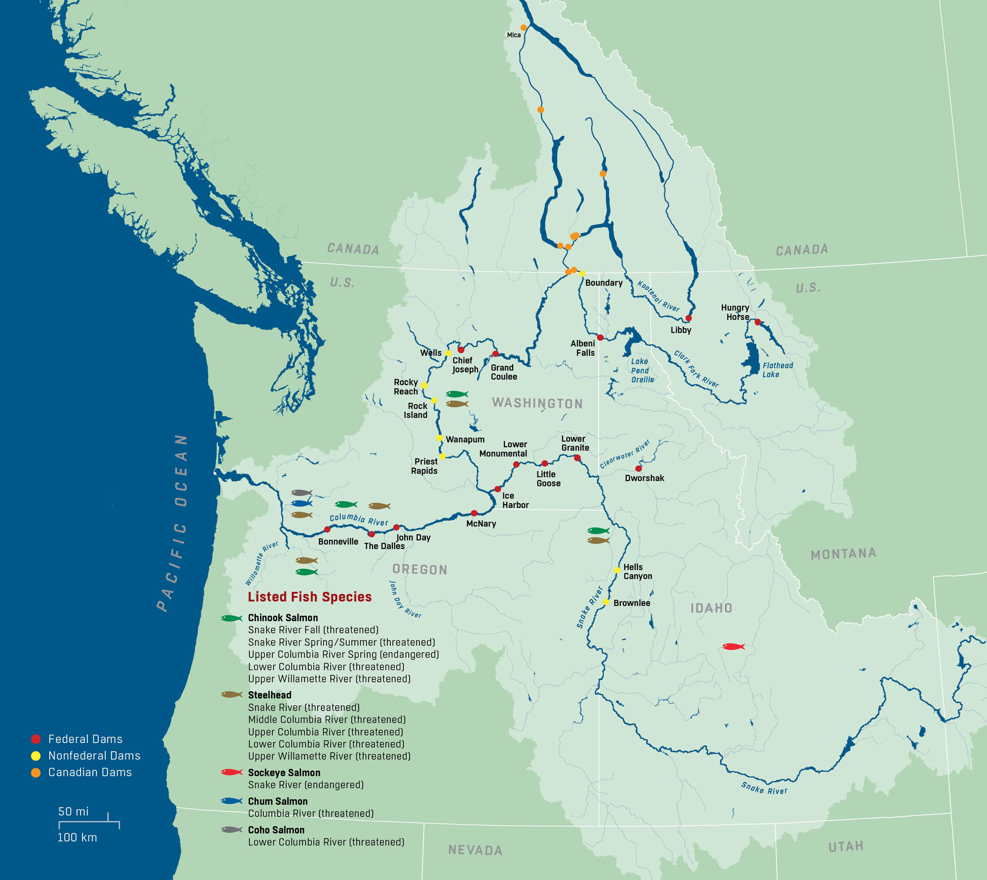 Map of the Columbia River Basin in Washington, Oregon, Idaho, southern Canada, western Montana, and western Wyoming. The map shows the locations of major U.S. federal dams, other major U.S. dams, and Canadian dams dotted throughout the region, as well as the distributions of salmon and steelhead species in the watershed. In the lower left part of the image, a list of endangered and threatened fish species is given. 