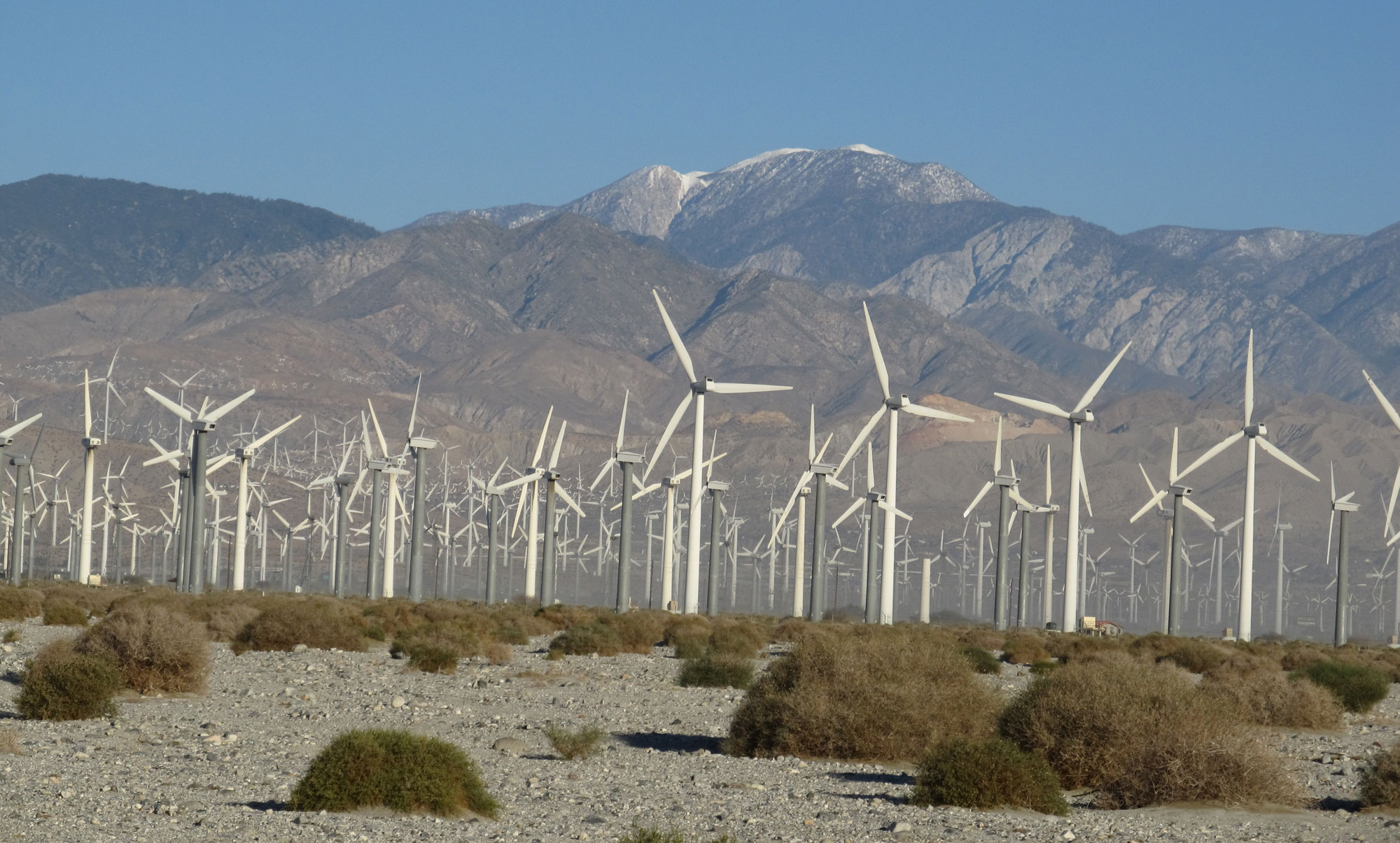 Photograph of San Gorgonio Pass wind farm. The photograph shows numerous white wind turbines in a dry landscape. A mountain rises in the background, behind the turbines.