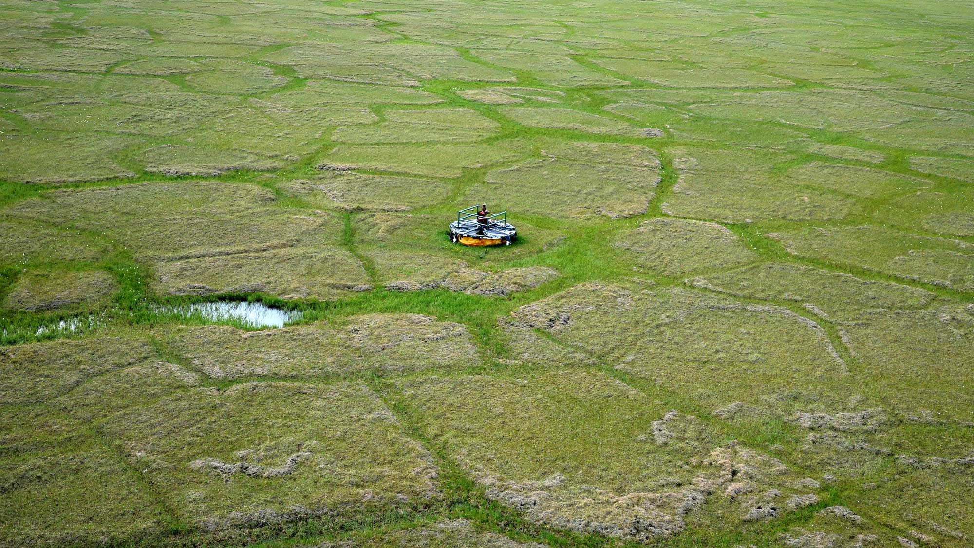 Photograph of an oil well head (essentially, a cap) in the permafrost near the Arctic National Wildlife Refuge. The cap is a small black and orange circular structure. The surrounding ground is green with a clear polygonal pattern, which is made by the ice wedges of the permafrost.