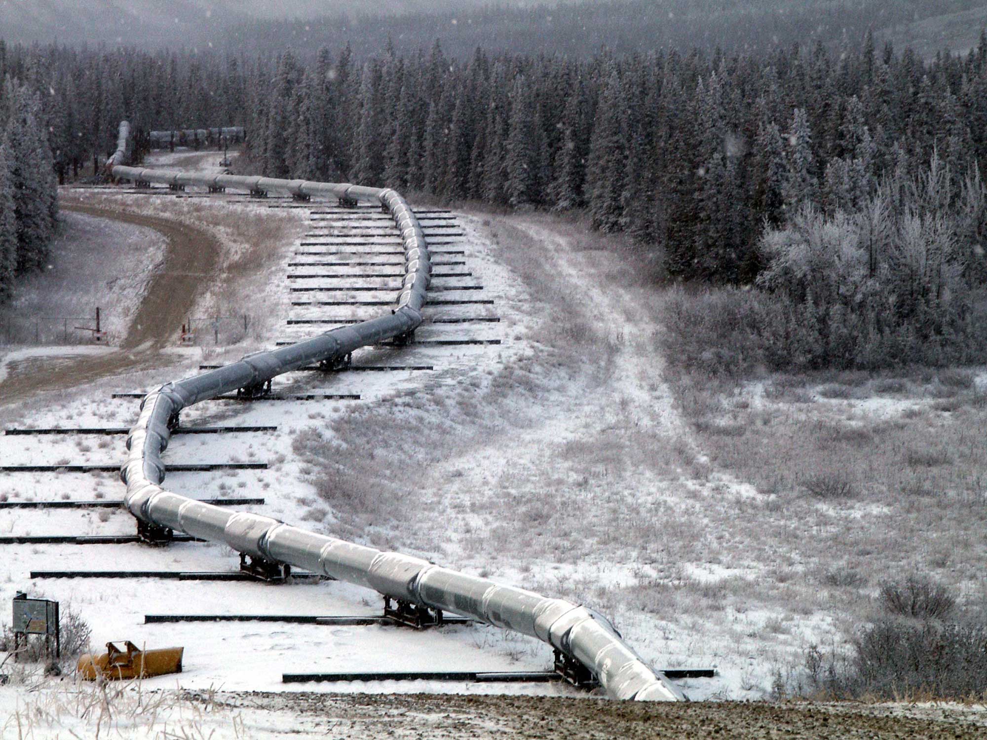 Photograph of the Trans-Alaska pipeline traversing the Denali fault. The photo shows a section of the pipeline supported by horizontal sliders that allow the pipeline to move when the ground shifts.