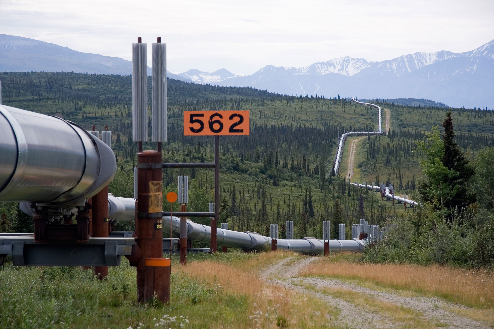 Photograph of the Trans-Alaska Pipeline, an oil pipeline that traverses Alaska from north to south. The photo shows a pipeline cutting through a hilly landscape with conifers and other vegetation. Mountains rise in the background.
