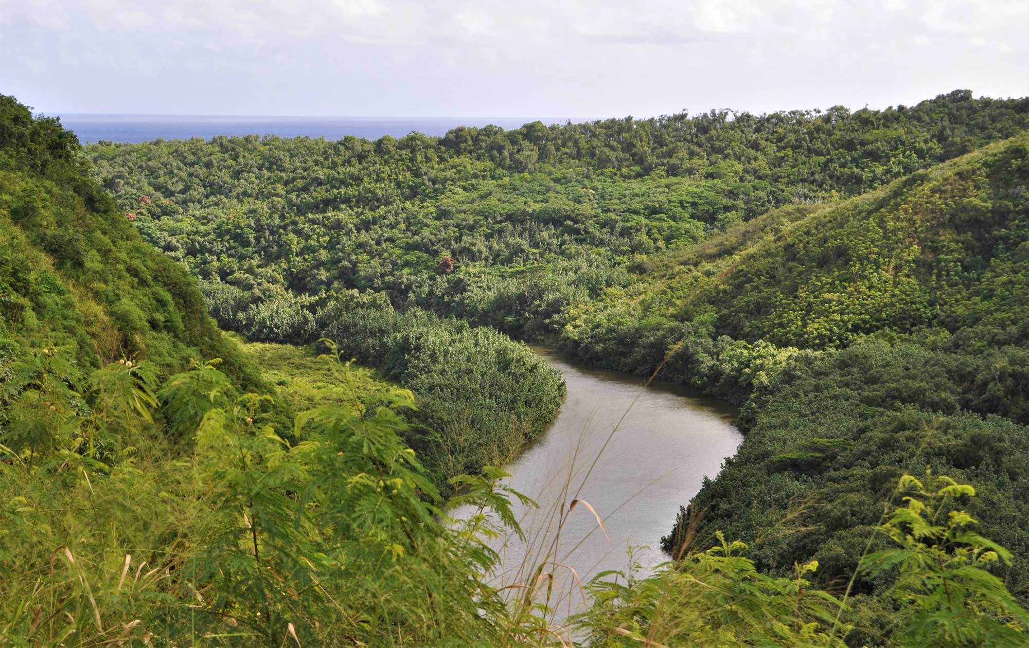Photograph of Wainiha River on Kaua'i. The photo shows a sinuous river flowing through a green landscape. The land slopes downward toward the river.