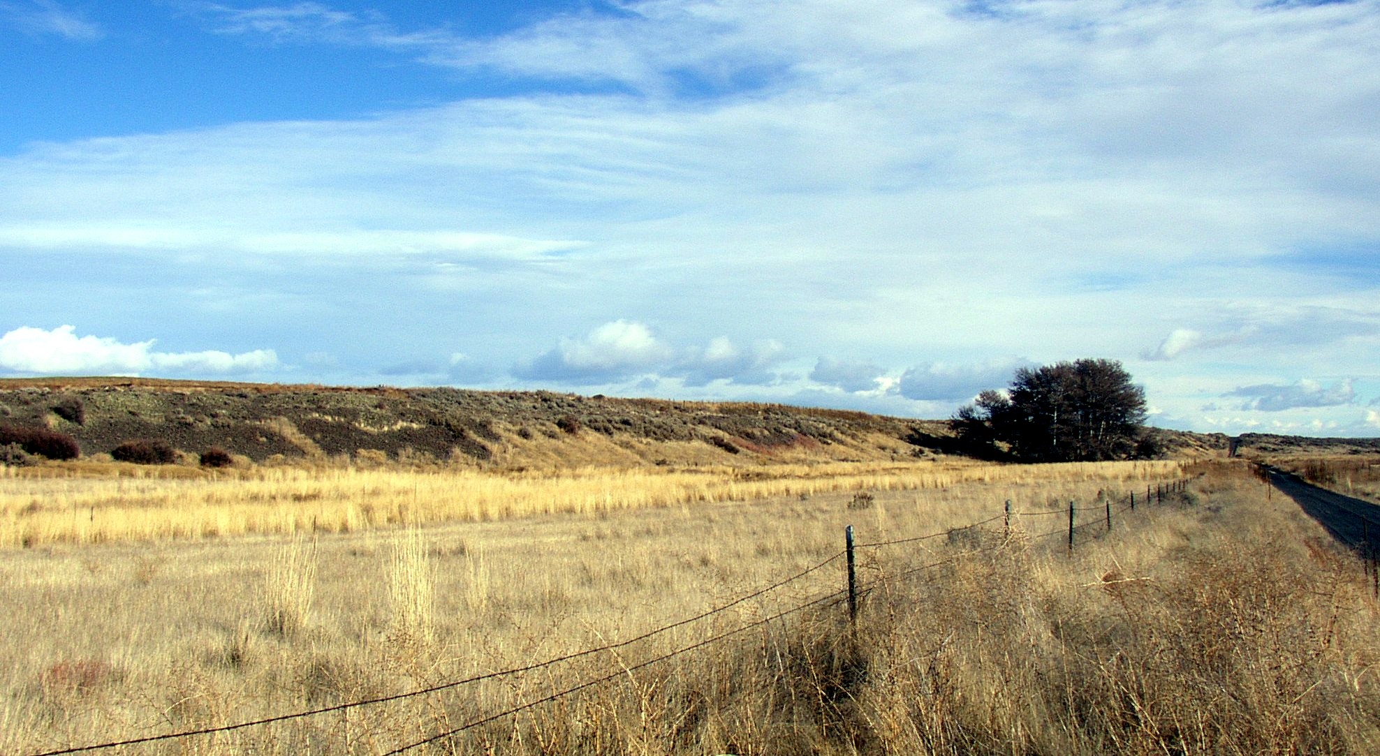 Photograph of an esker in Washington. The photo shows a long, low ridge in the background (the esker) with a flat landscape covered in dry, yellow grass in the foreground. 