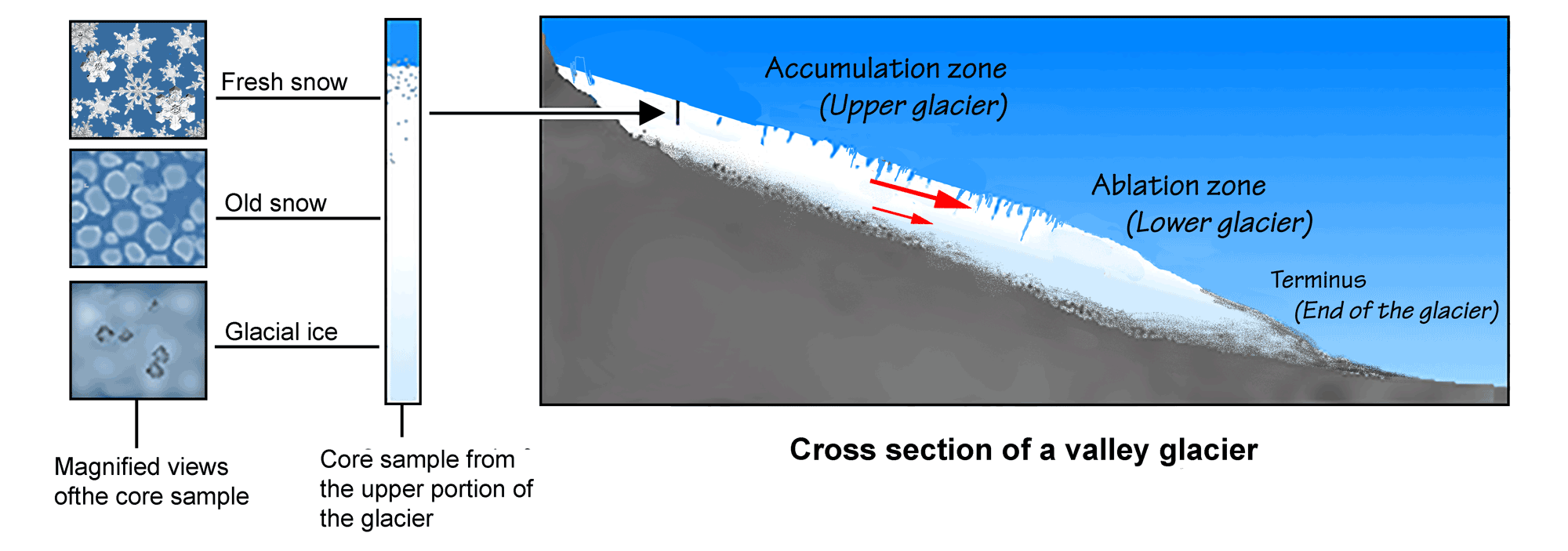 Image showing a cross section of a glacier with different parts labeled.