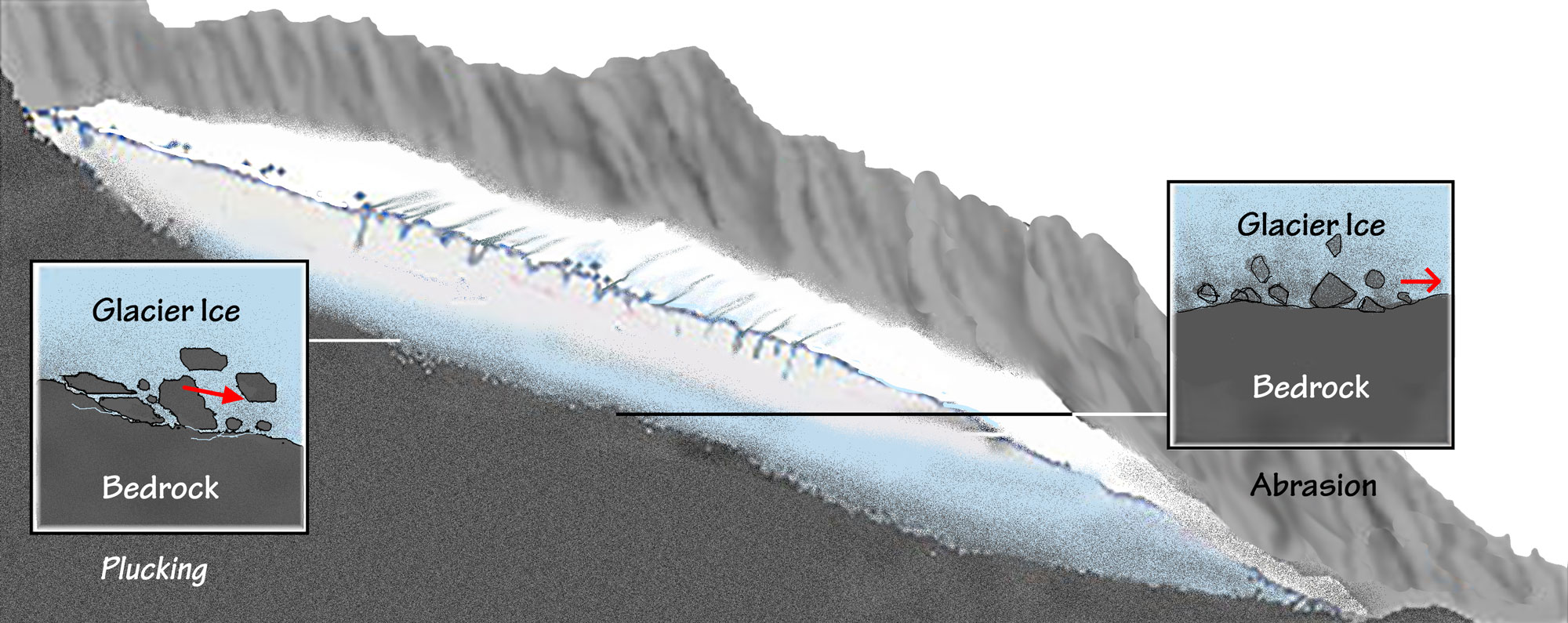 Diagram showing rock and sediment derived by plucking and abrasion. The diagram shows a gray slope with an oblong glacier on it. One inset shows plucking, where glacial ice picks up pieces of bedrock. The other shows abrasion, where the glacial ice wears down the bedrock.