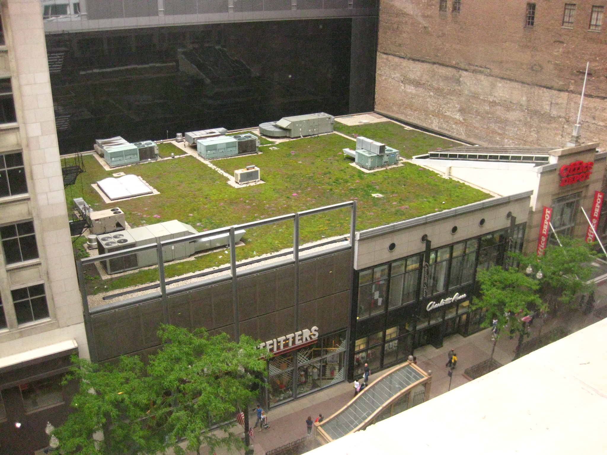 Photo of a building in Chicago with a green (plant-covered) roof