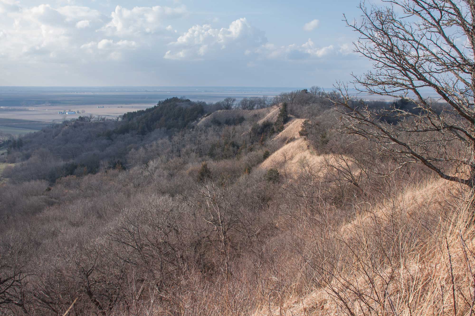 Photograph of loess Hills in Iowa. The photo shows a ridge covered with trees missing their leaves and patches of dry grass. The sky is gray with clouds, and a flat plain can be seen in the distance.