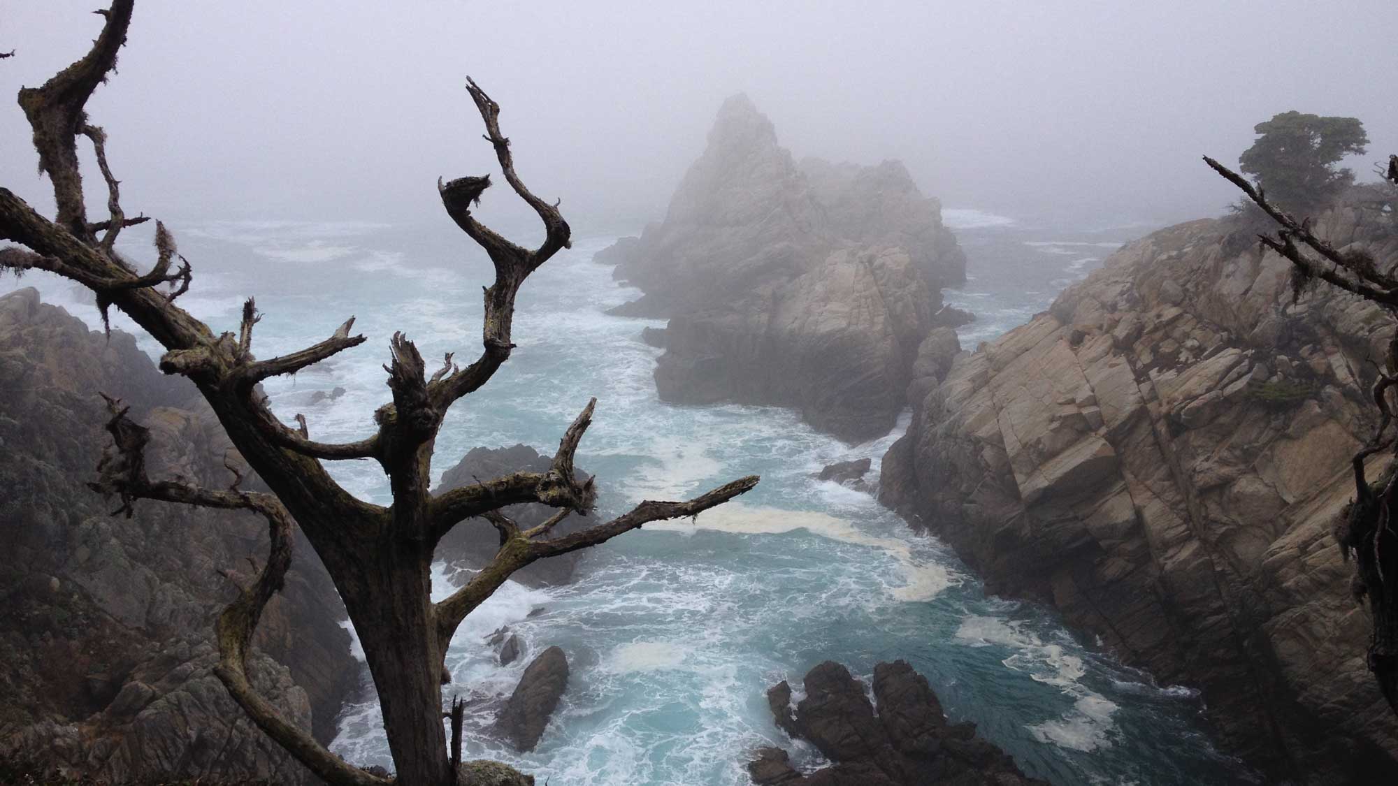 Photograph of the Pacific Ocean from Point Lobos State Natural Reserve in California.