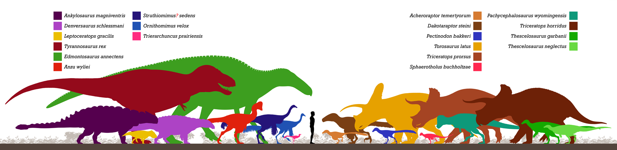 Diagram showing silhouettes of the dinosaurs of the Late Cretaceous Hell Creek Formation. Different silhouettes are different colors, which makes them distinguishable from one another. The largest is Edmontasaurus annectens, a duck-billed dinosaur, and Tyrannosaurus rex is the second-largest. Others include horned dinosaurs, armored dinosaurs, and a variety of smaller dinosaurs. In total, 19 dinosaurs are shown.