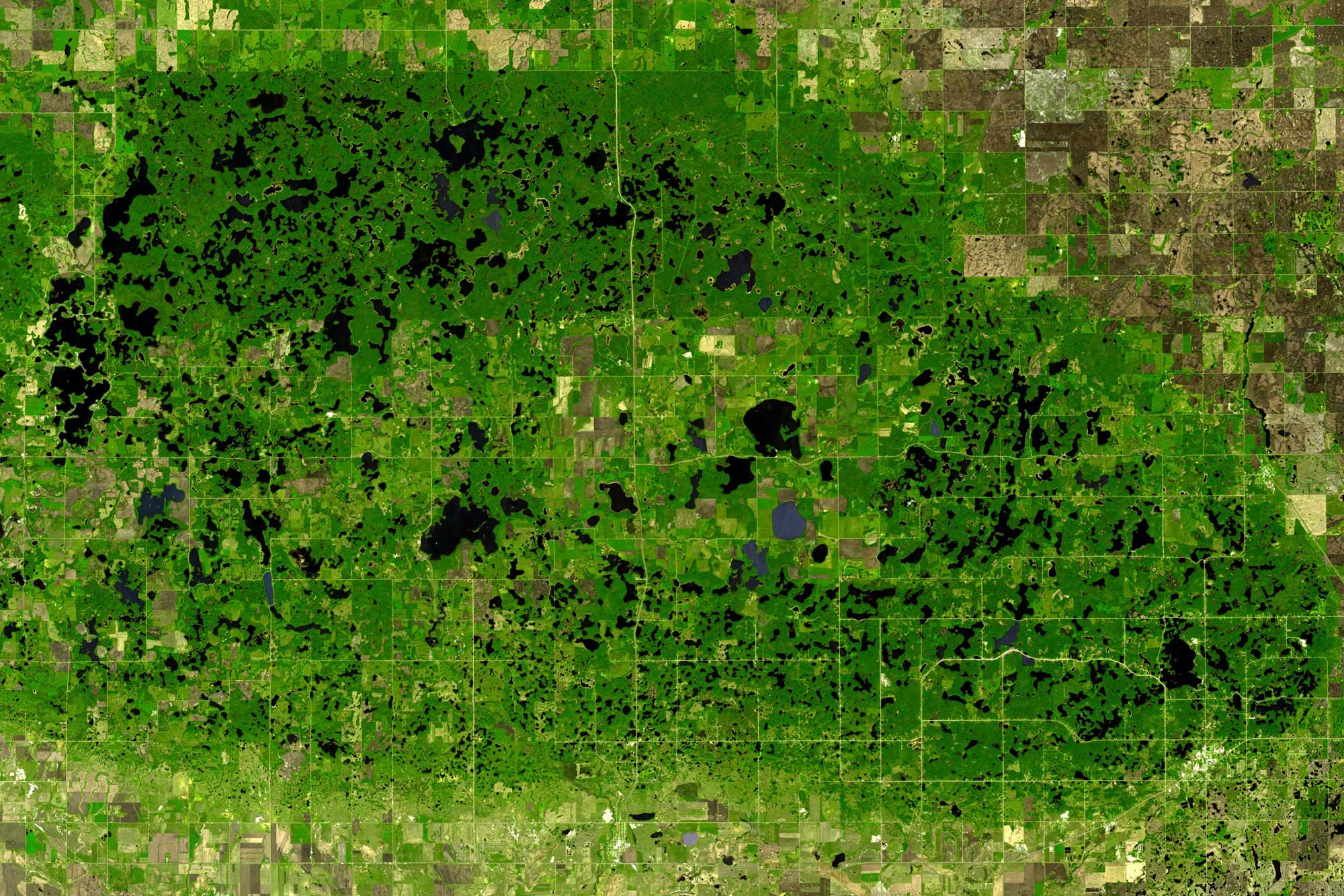 Satellite photograph of the Turtle Mountain area. The image shows a green landscape segmented into grids by roads and, at the edges, probable agricultural fields. A dense concentration of lakes dots much of the landscape.