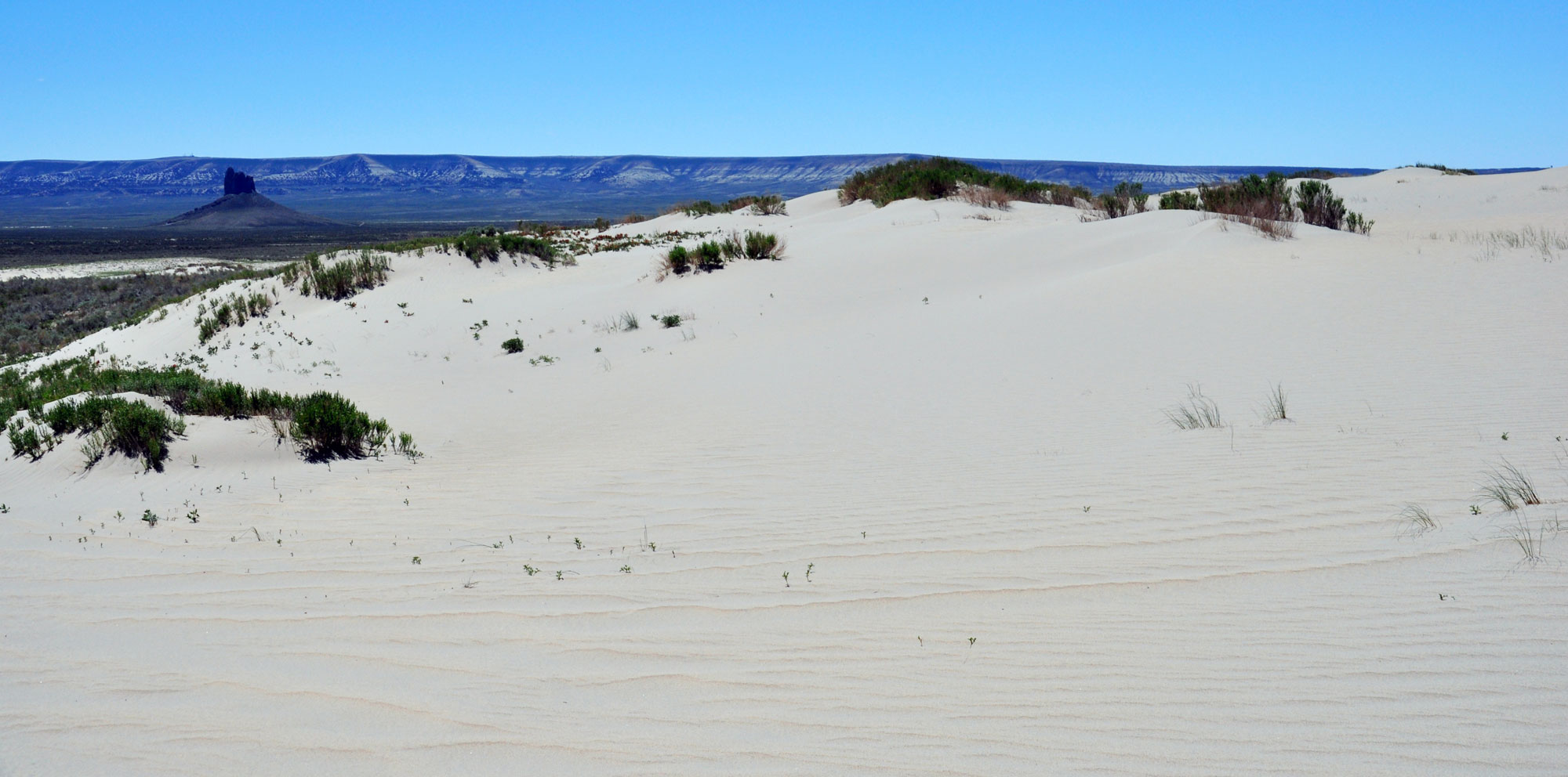 Photograph of Killpecker Sand Dunes in Wyoming. The photo shows a patch of off-white sand forming a low hill with sparse vegetation near its crest. In the background, a lone rock formation and distant low hills can be on the edge of a plain.
