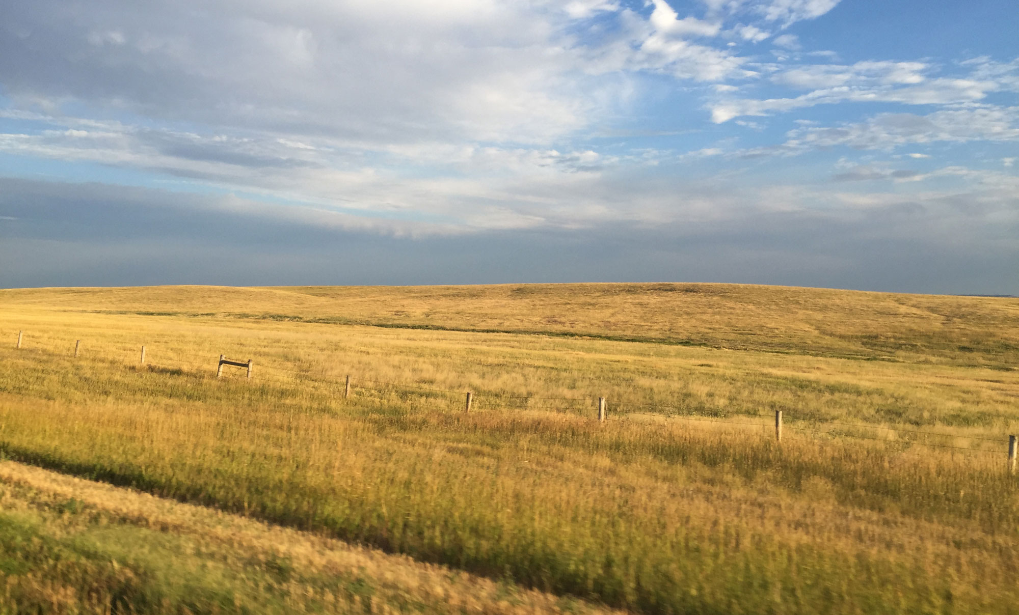 Photograph of Oglala National Grasslands, Nebraska. The photo shows a field with a very slight rise in the background. The field is covered in yellow grass. A fence made of regularly spaced wooden posts connected by wire cuts through the field slightly obliquely from left to right.