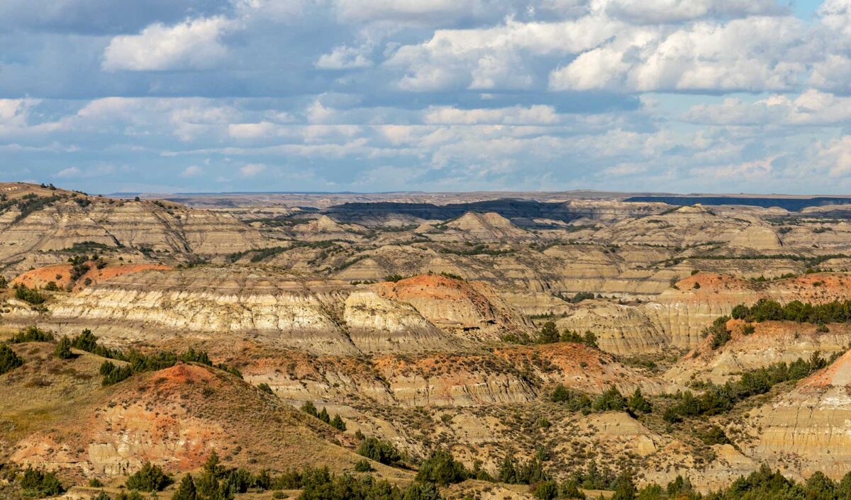 Photograph of badlands in Theodore Roosevelt National Park, North Dakota. The photo shows rounded hills with sparse vegetation made up of trees and shrubs. The exposed rock is mostly tan, with some bands of white, orange, and dark brown.  