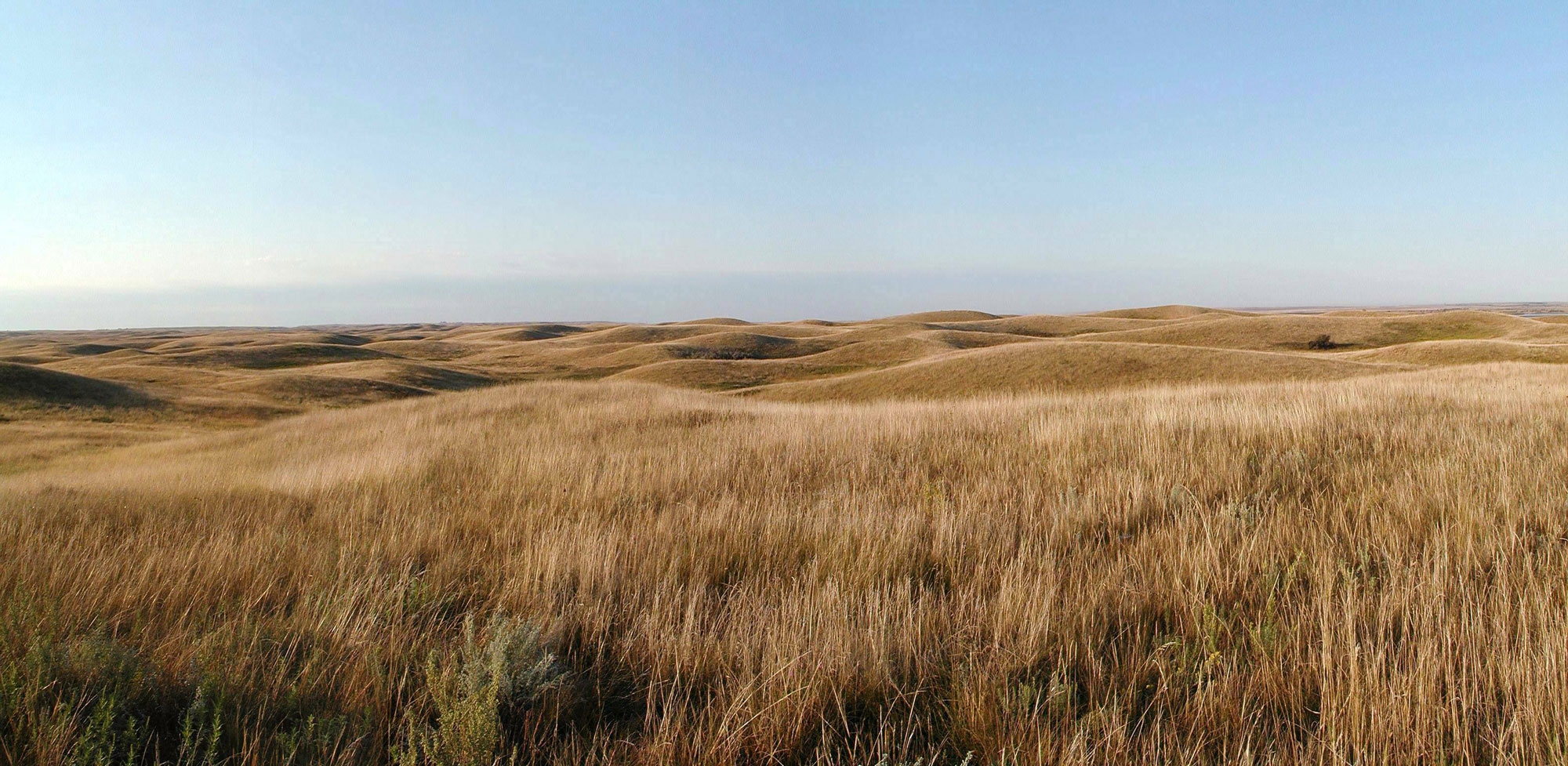 Photograph of prairie at Chase Lake Wildlife Refuge, North Dakota. The photo shows gently rolling hills covered with light brown grass stretching from the foreground to the horizon under a light blue, cloudless sky.