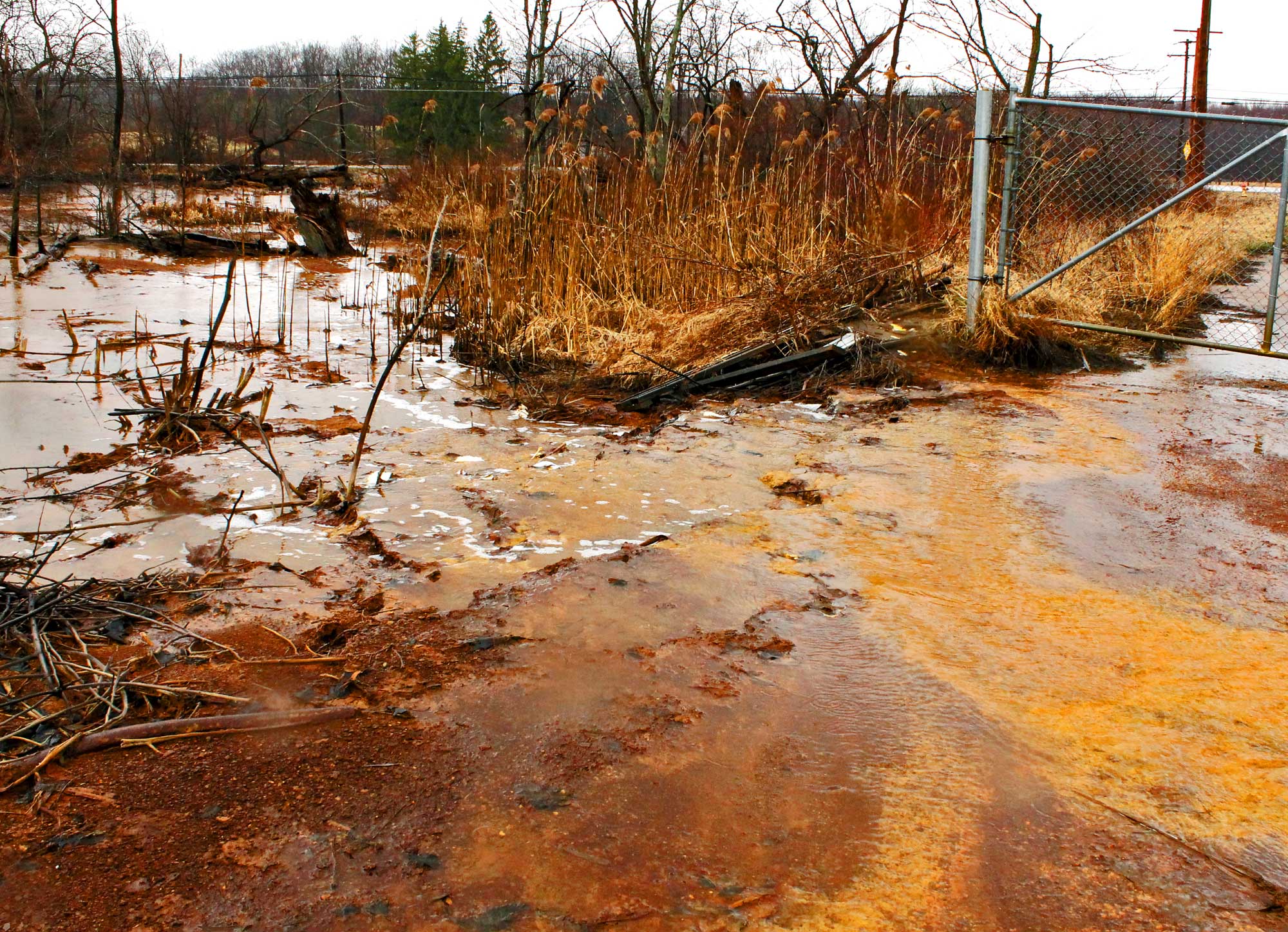 Photograph of acid mine drainage in North Lima, Ohio. The photo shows standing water surrounding a patch of reeds, with a metal gate at the upper right and fencing in the background. The water is a rusty brown-orange to light orange color, indicating that it is polluted.