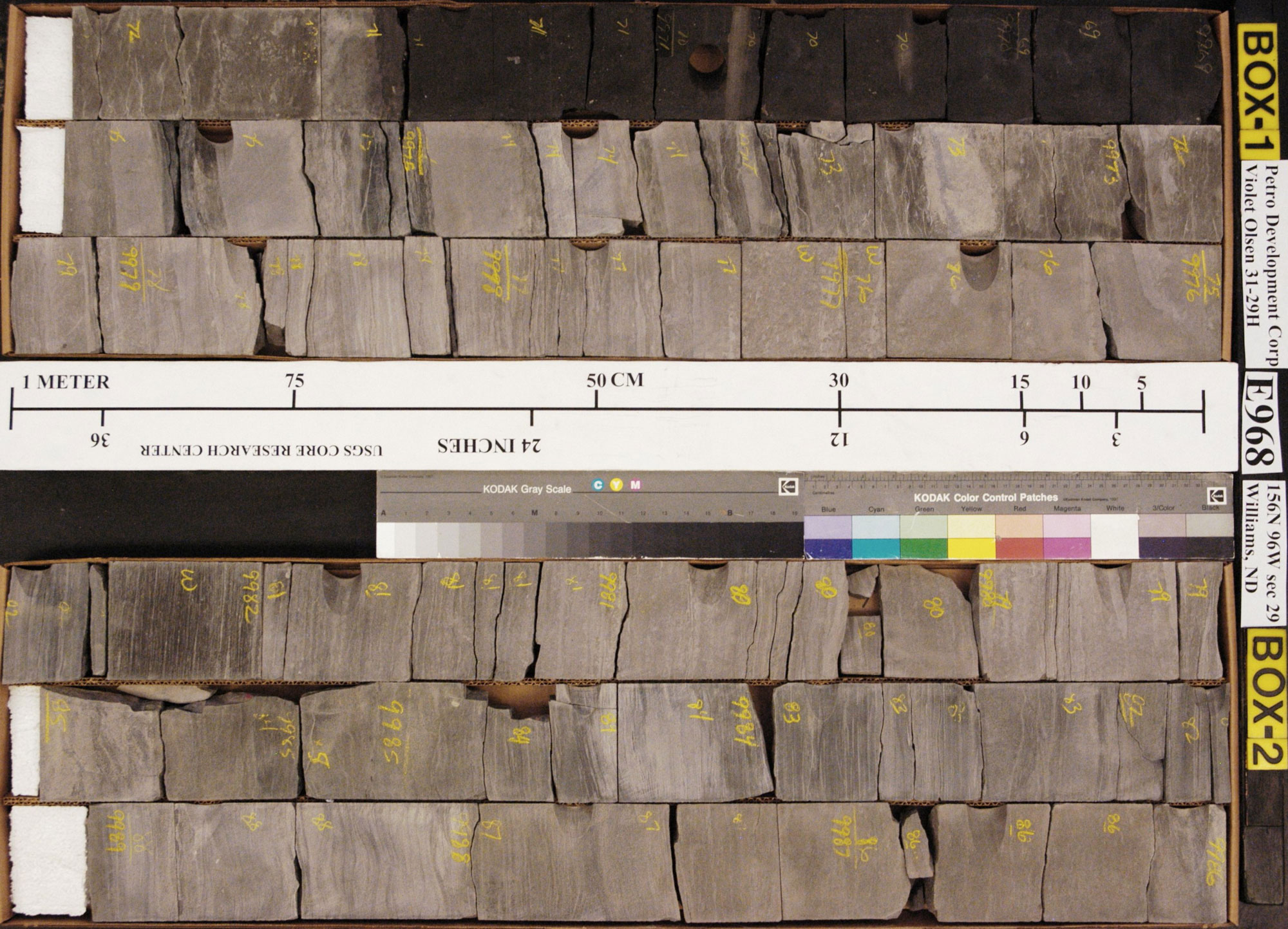 Photograph of segments of a core drilled through the Bakken Formation. The photo shows two boxes, each containing three elongated-rectangular segments of rock core. The rock varies from very dark gray to light gray in color. Each core segment is about 1 meter (a little more than 1 yard) long.