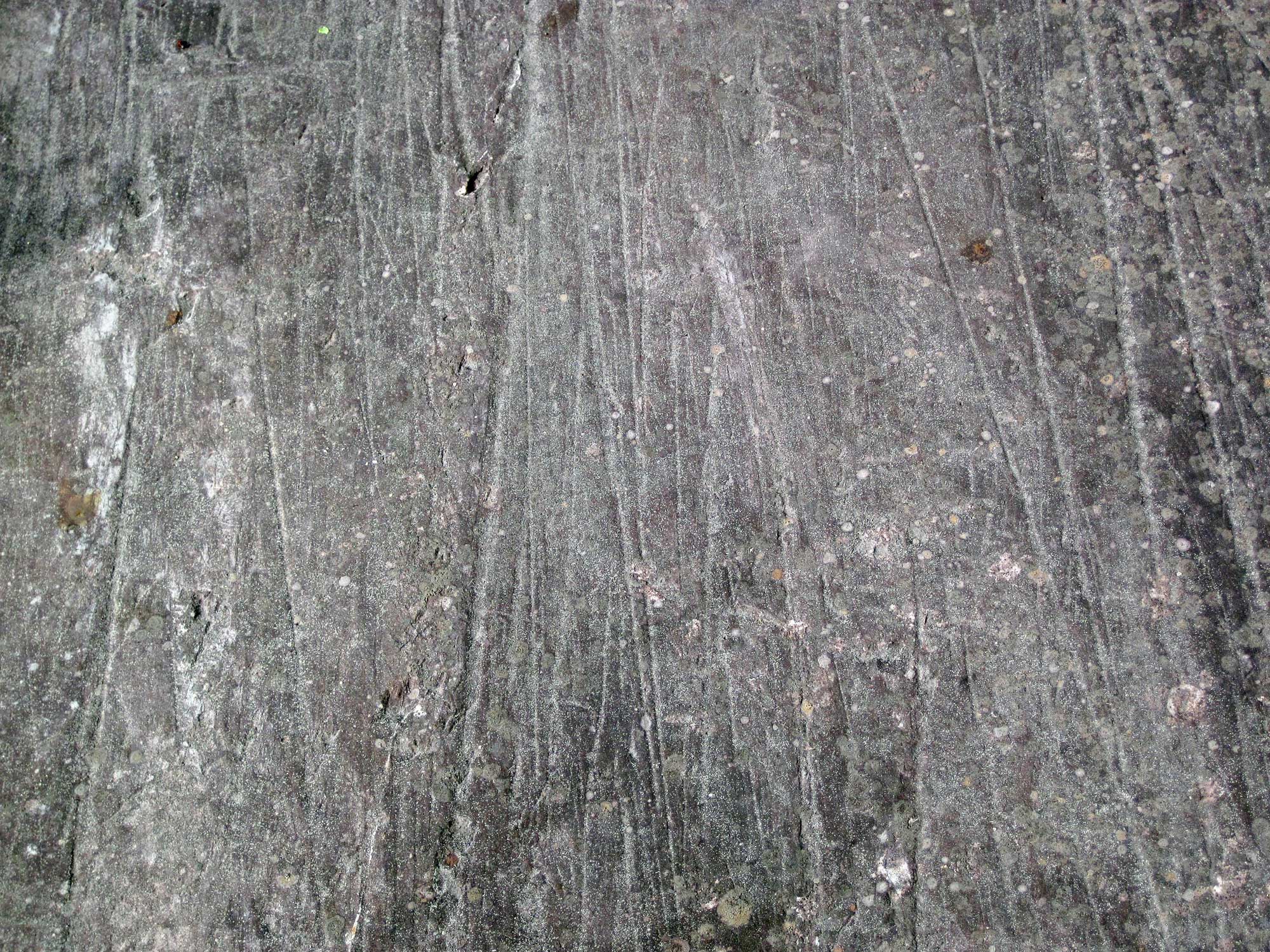 Photograph of Pleistocene glacial striations on Precambrian rock in Minnesota. The photo shows the surface of a gray rock marked by thin longitudinal striations that extend from the top to the bottom of the image.