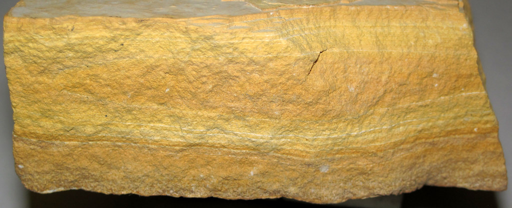 Photograph of a sample of tuff from the Green River Formation of Wyoming.
