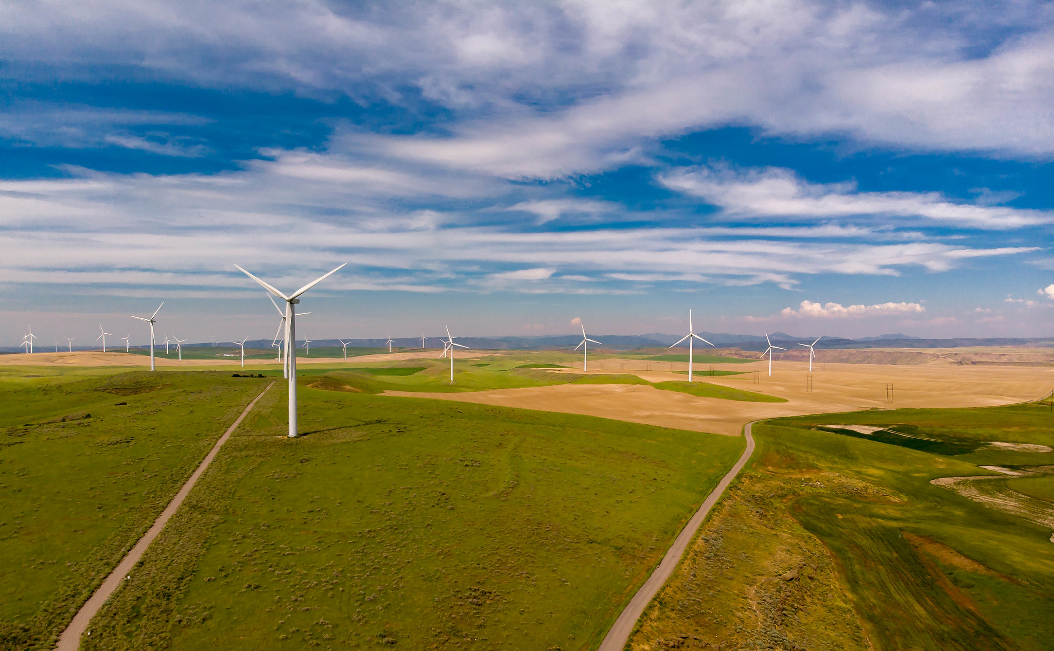 Photograph of a wind farm near Idaho Falls, Idaho. The photo shows a float landscape stretching to the horizon covered in patches of green and yellow vegetation. The landscape is dotted with white wind turbines. The sky above is blue with wispy clouds.