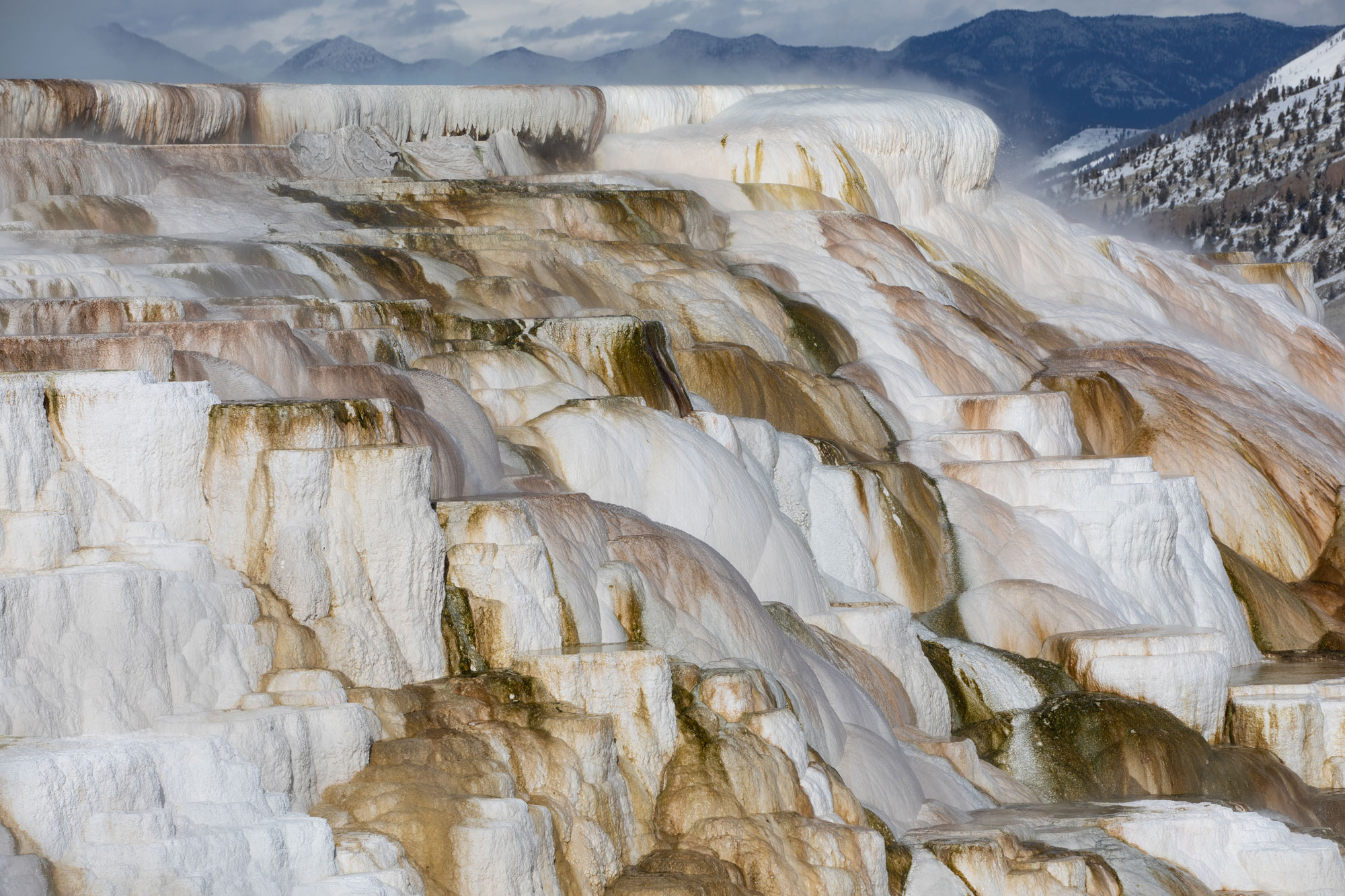 Photograph of Mammoth hot springs, Yellowstone National Park. The photo shows a hill made up of white and brown minerals with tiered levels; the top of the hill is flat. Steam is rising off the hill.
