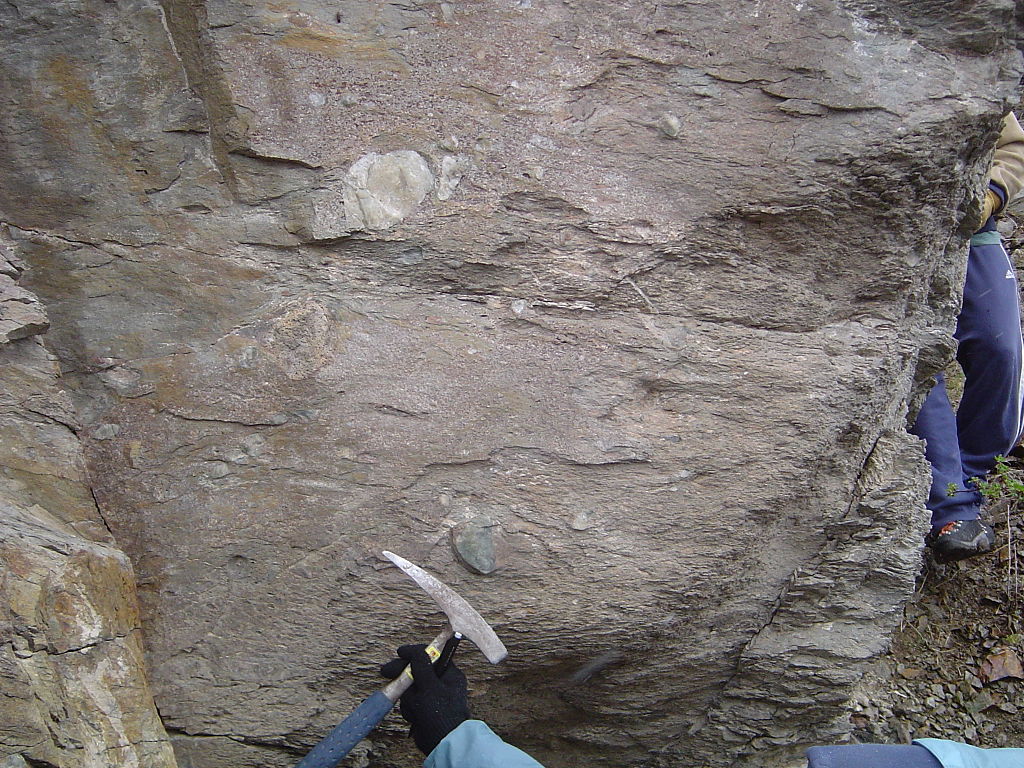 Photograph of an outcropping of diamictite in the Pocatello Formation in Idaho.
