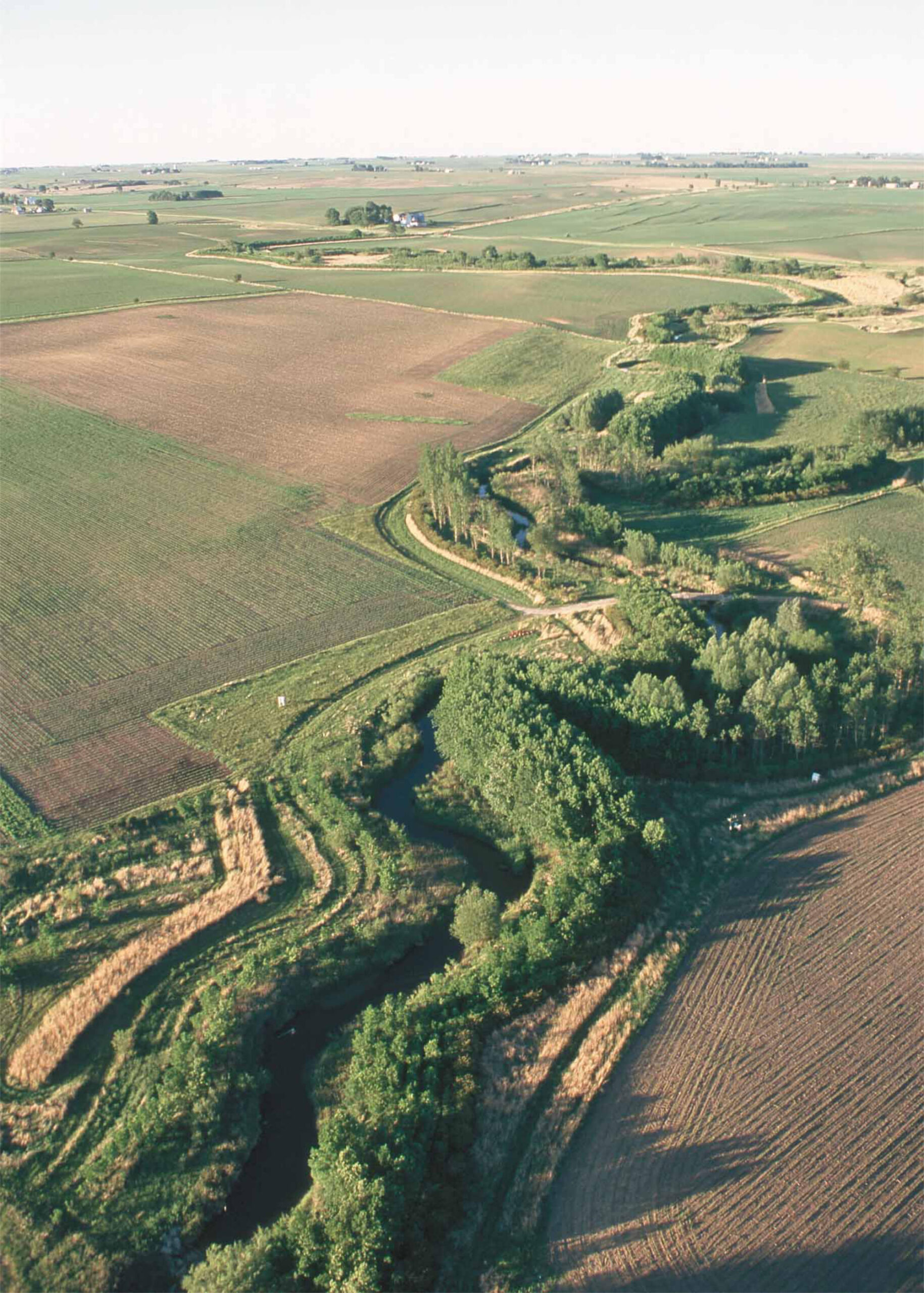 Aerial photo of trees and other plants growing along the banks of a creek, surrounded by farm fields on both sides.